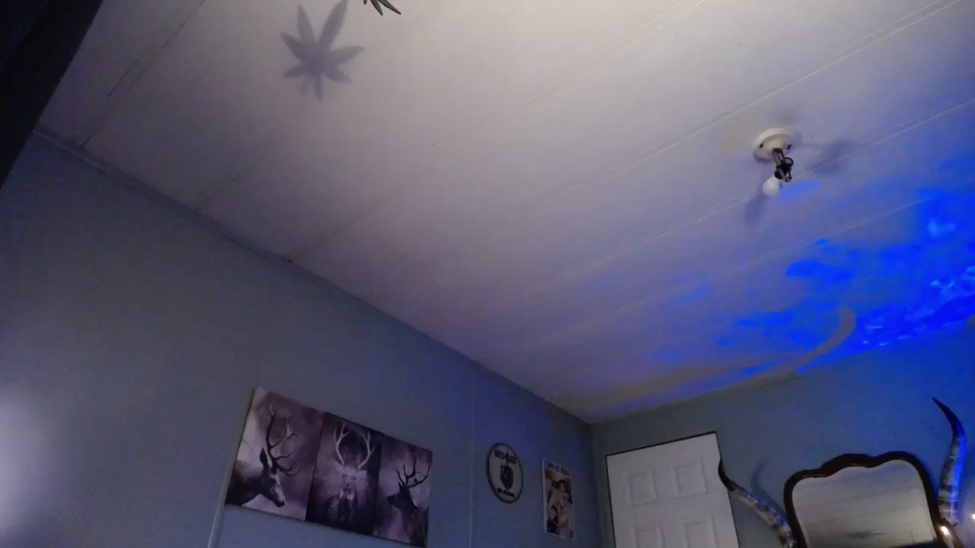 Gallery image thumbnail from Classic_Daisy's myfreecams stream on, 05/17/2025, 22:17 image 2 of 20