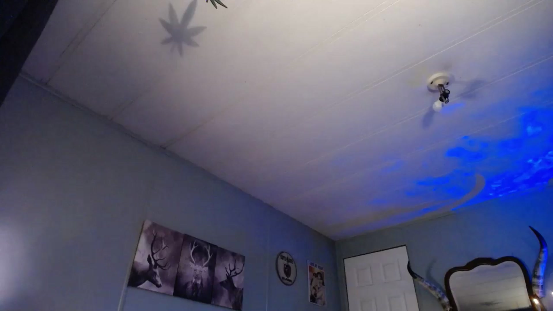 Gallery image thumbnail from Classic_Daisy's myfreecams stream on, 05/17/2025, 22:17 image 4 of 20