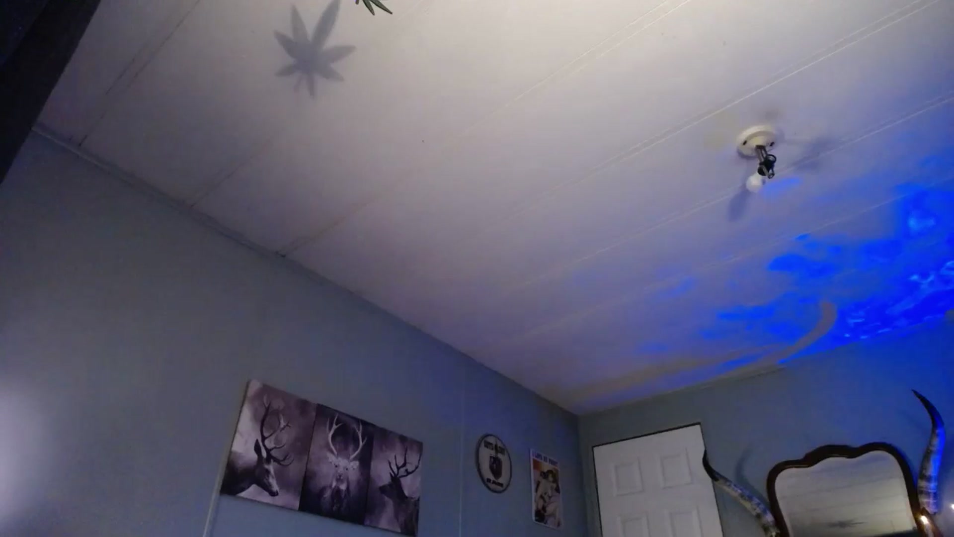 Gallery image thumbnail from Classic_Daisy's myfreecams stream on, 05/17/2025, 22:17 image 5 of 20