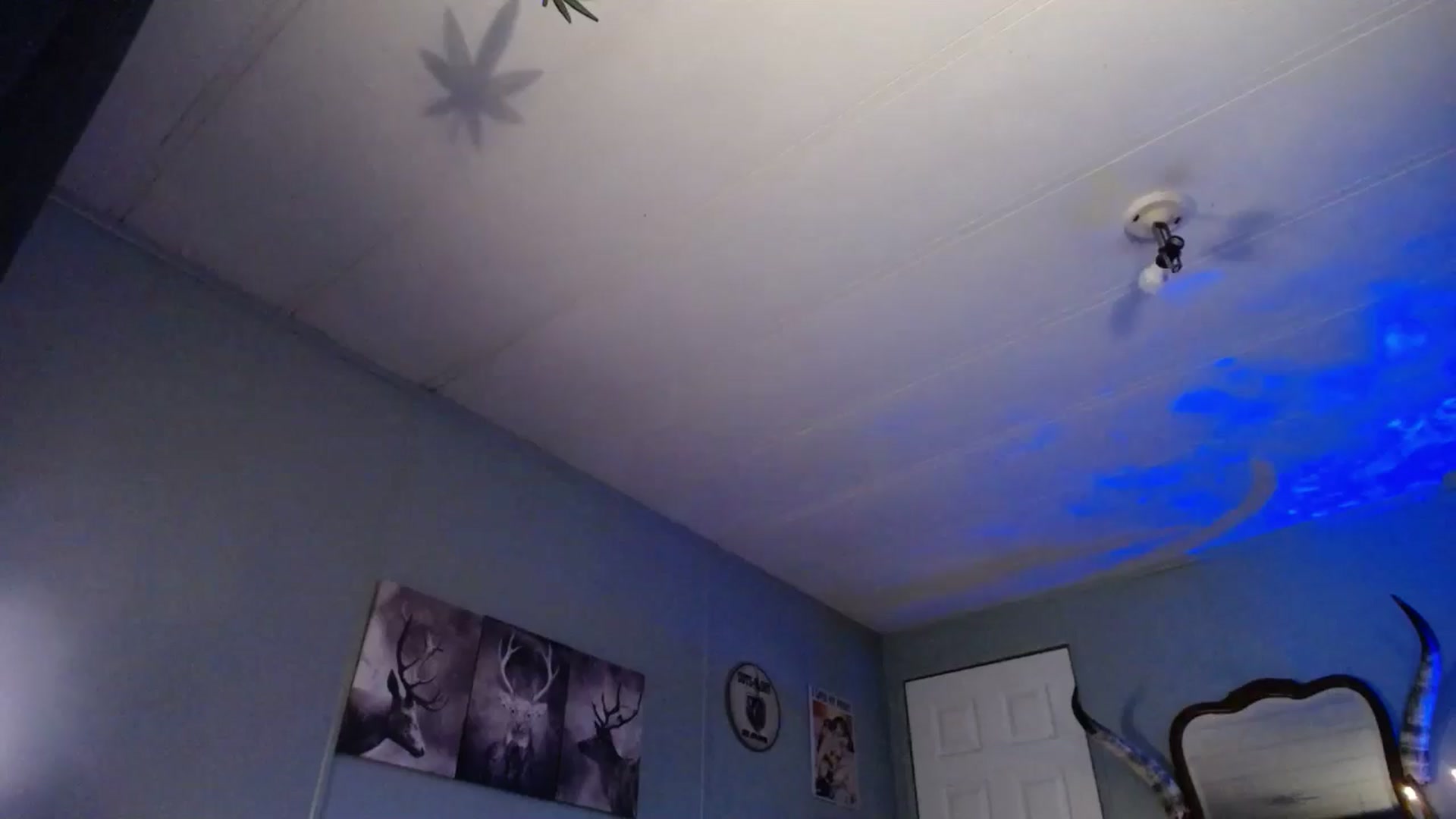 Gallery image thumbnail from Classic_Daisy's myfreecams stream on, 05/17/2025, 22:17 image 1 of 20
