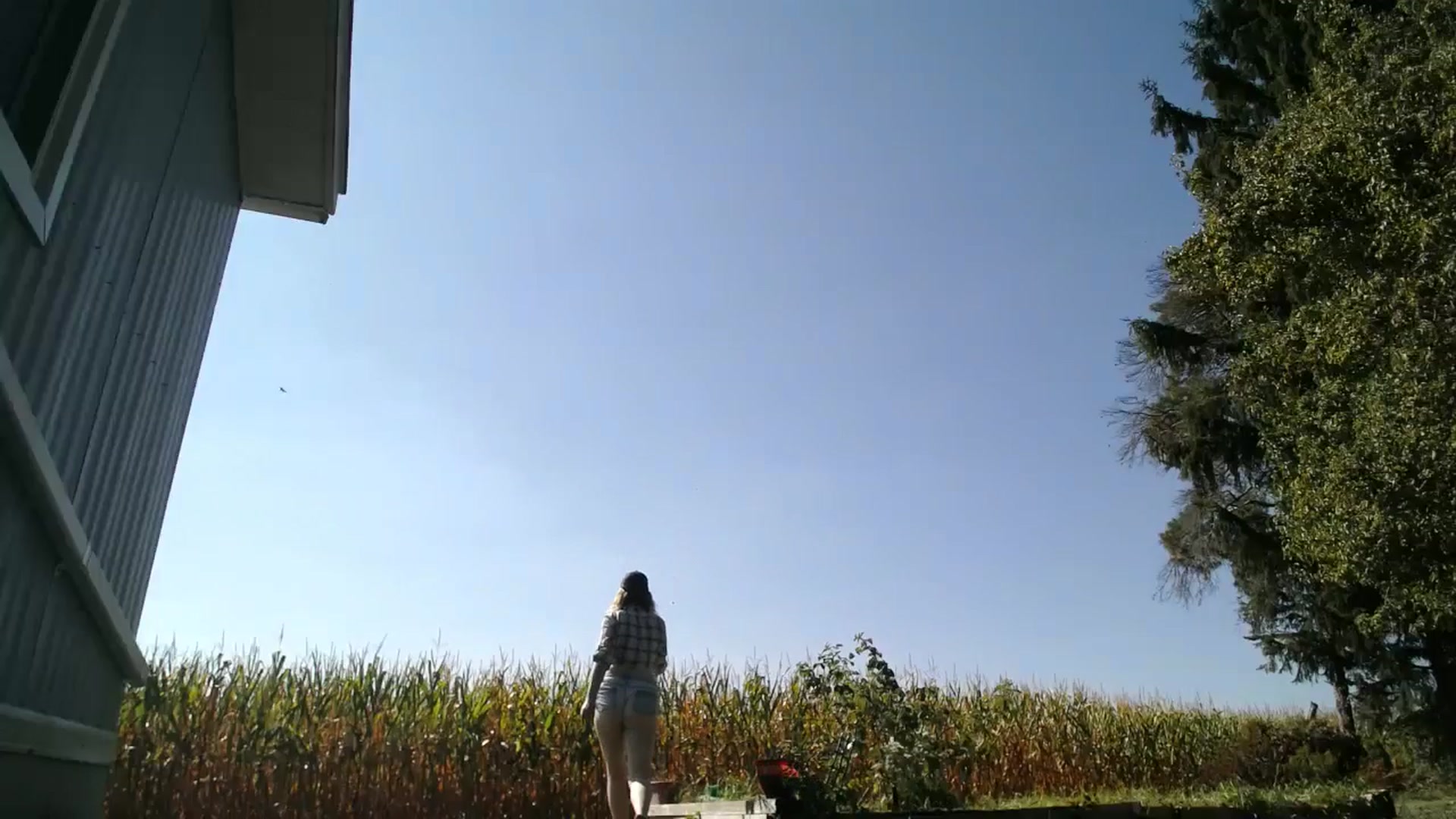 Gallery image thumbnail from Classic_Daisy's myfreecams stream on, 09/17/2025, 19:50 image 11 of 20