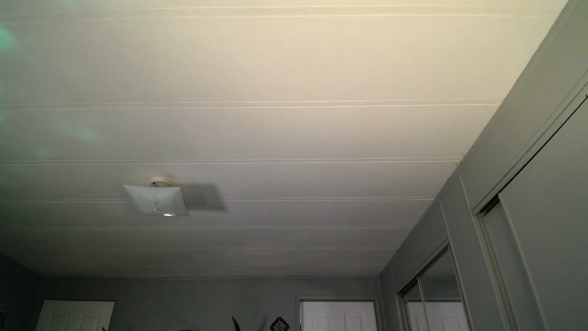 Gallery image thumbnail from Classic_Daisy's myfreecams stream on, 10/22/2025, 20:56 image 15 of 20