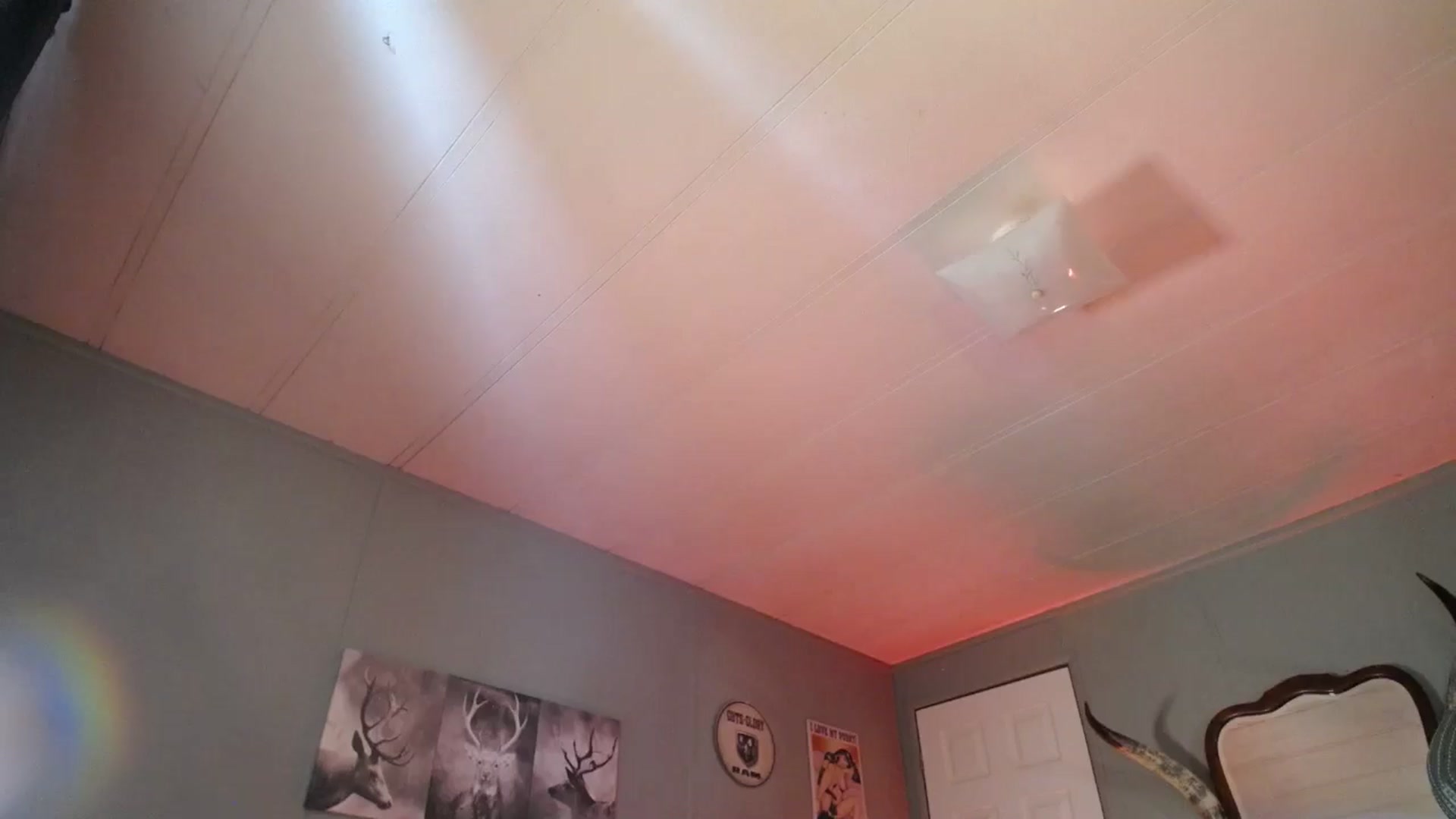 Gallery image thumbnail from Classic_Daisy's myfreecams stream on, 01/23/2026, 19:03 image 14 of 20