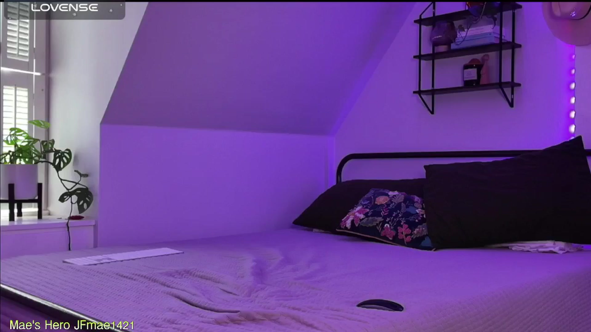 Gallery image thumbnail from ClayMae011's myfreecams stream on, 11/05/2024, 20:14 image 9 of 20