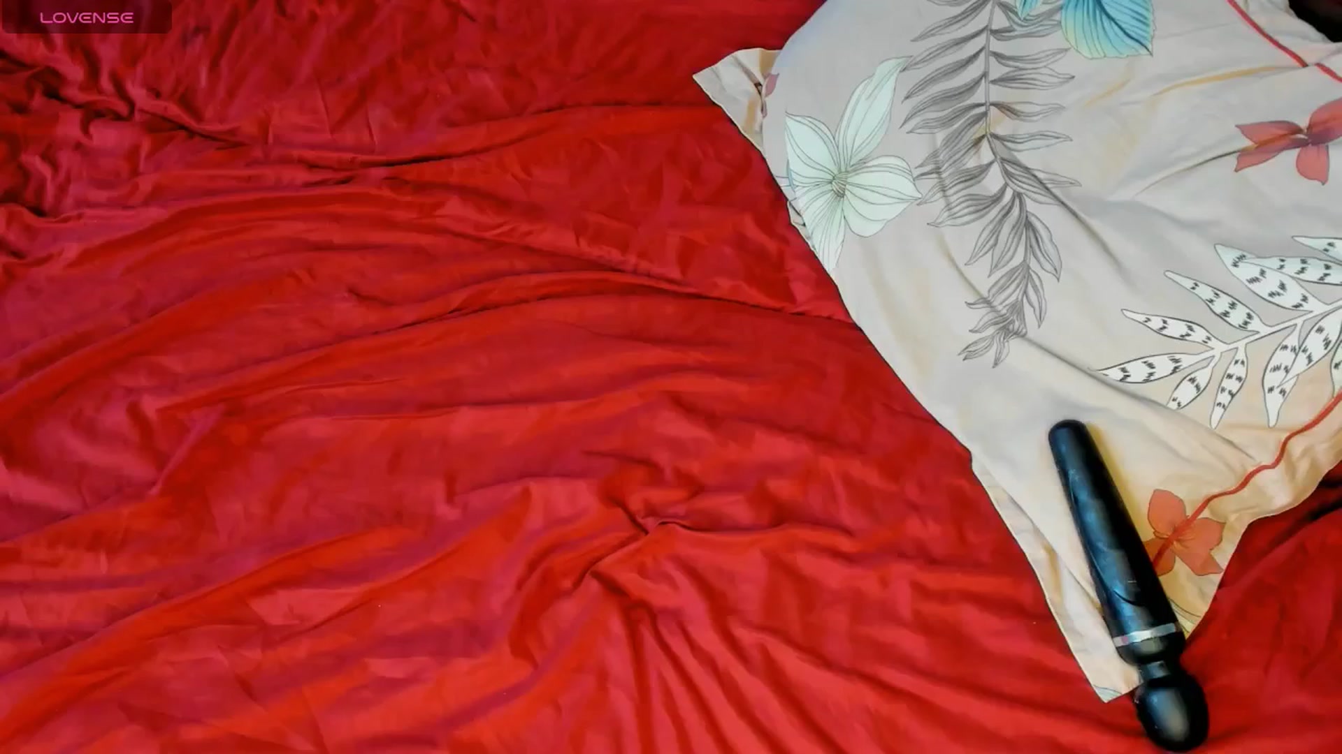 Gallery image thumbnail from Clementinena's myfreecams stream on, 06/22/2024, 09:25 image 11 of 20