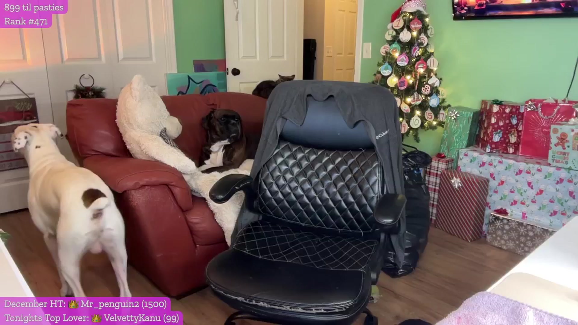 Gallery image thumbnail from Cleverrr_K's myfreecams stream on, 12/24/2024, 01:59 image 4 of 20