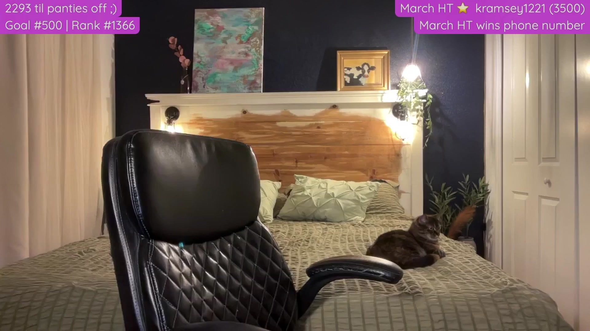 Gallery image thumbnail from Cleverrr_K's myfreecams stream on, 03/31/2025, 05:33 image 19 of 20