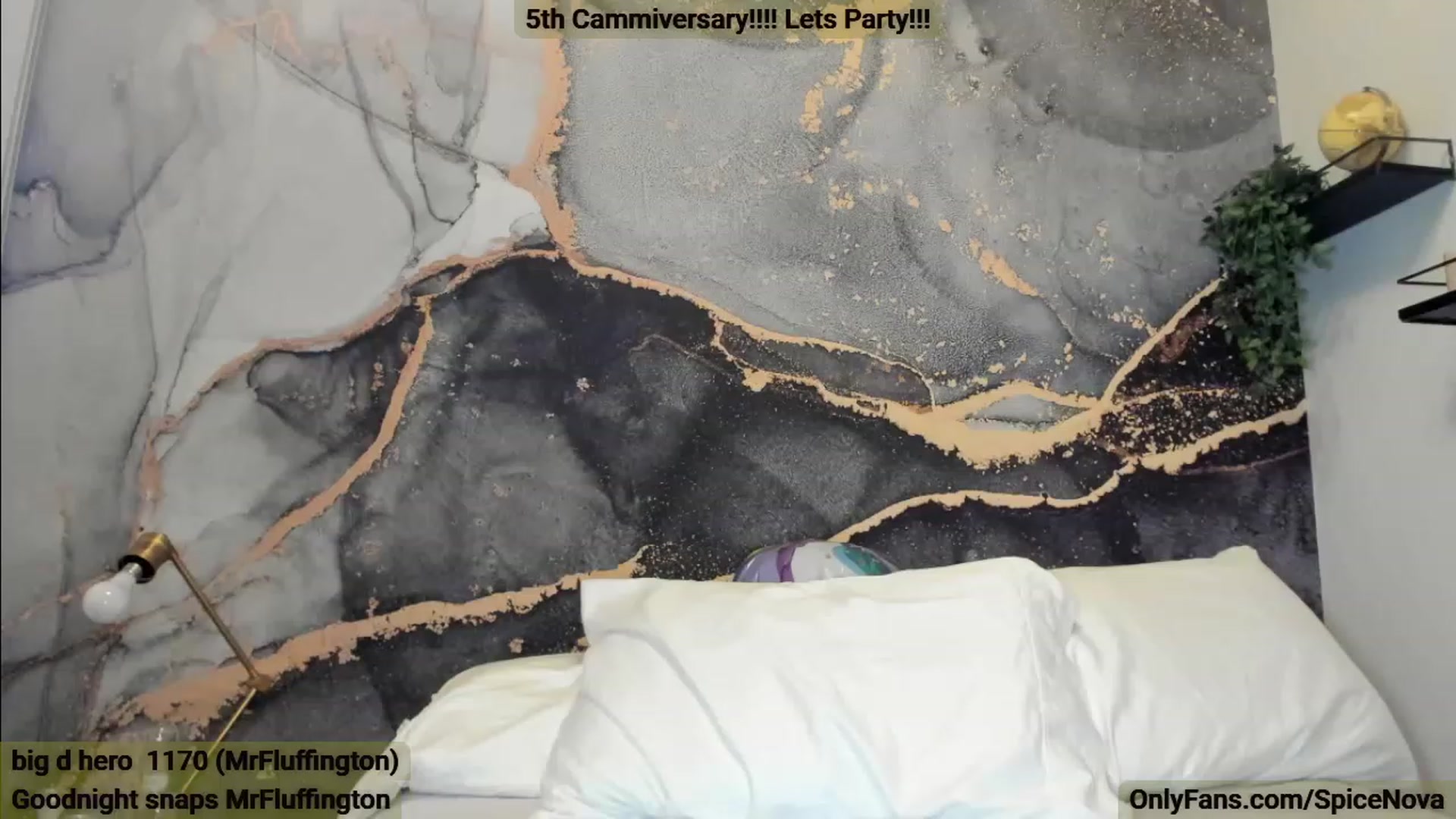 Gallery image thumbnail from CloeAbigail's myfreecams stream on, 05/15/2023, 06:22 image 14 of 20