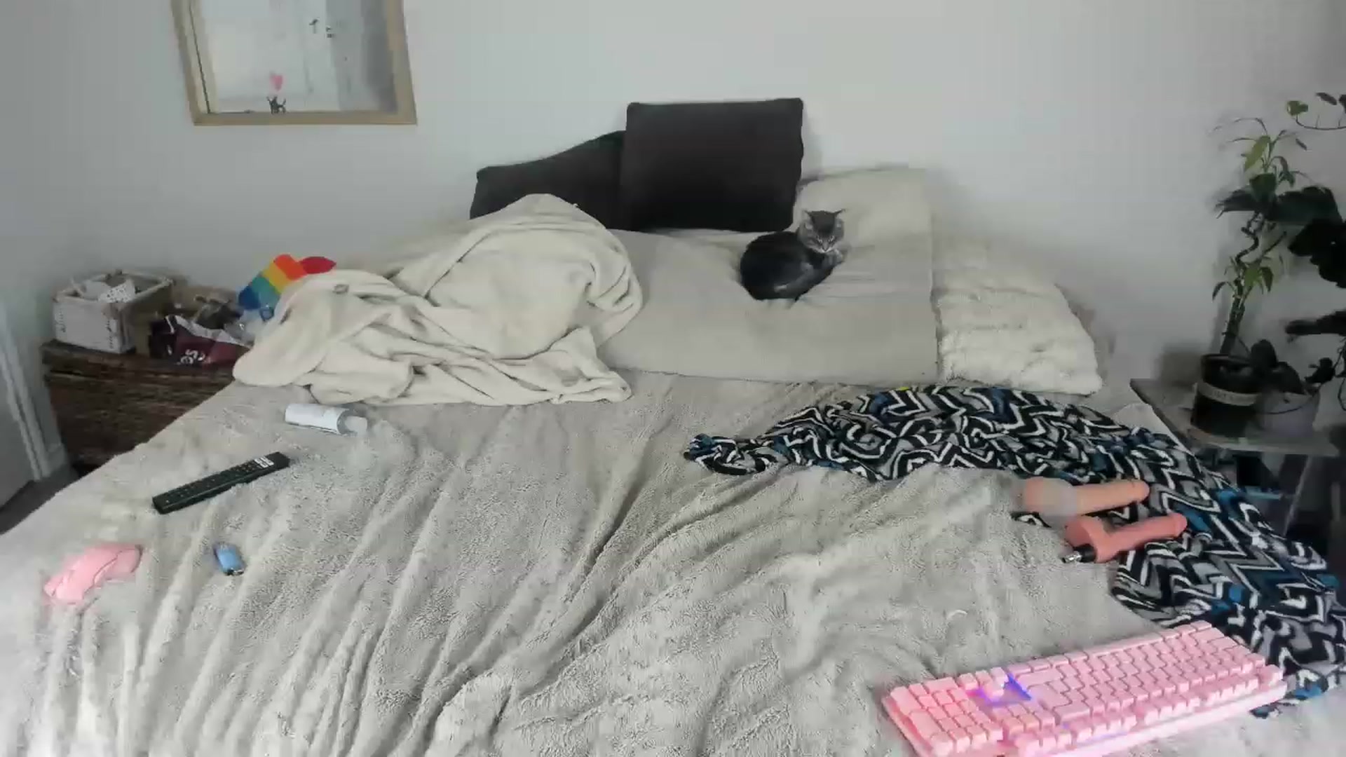 Gallery image thumbnail from CloeClover's myfreecams stream on, 11/18/2022, 01:14 image 10 of 20