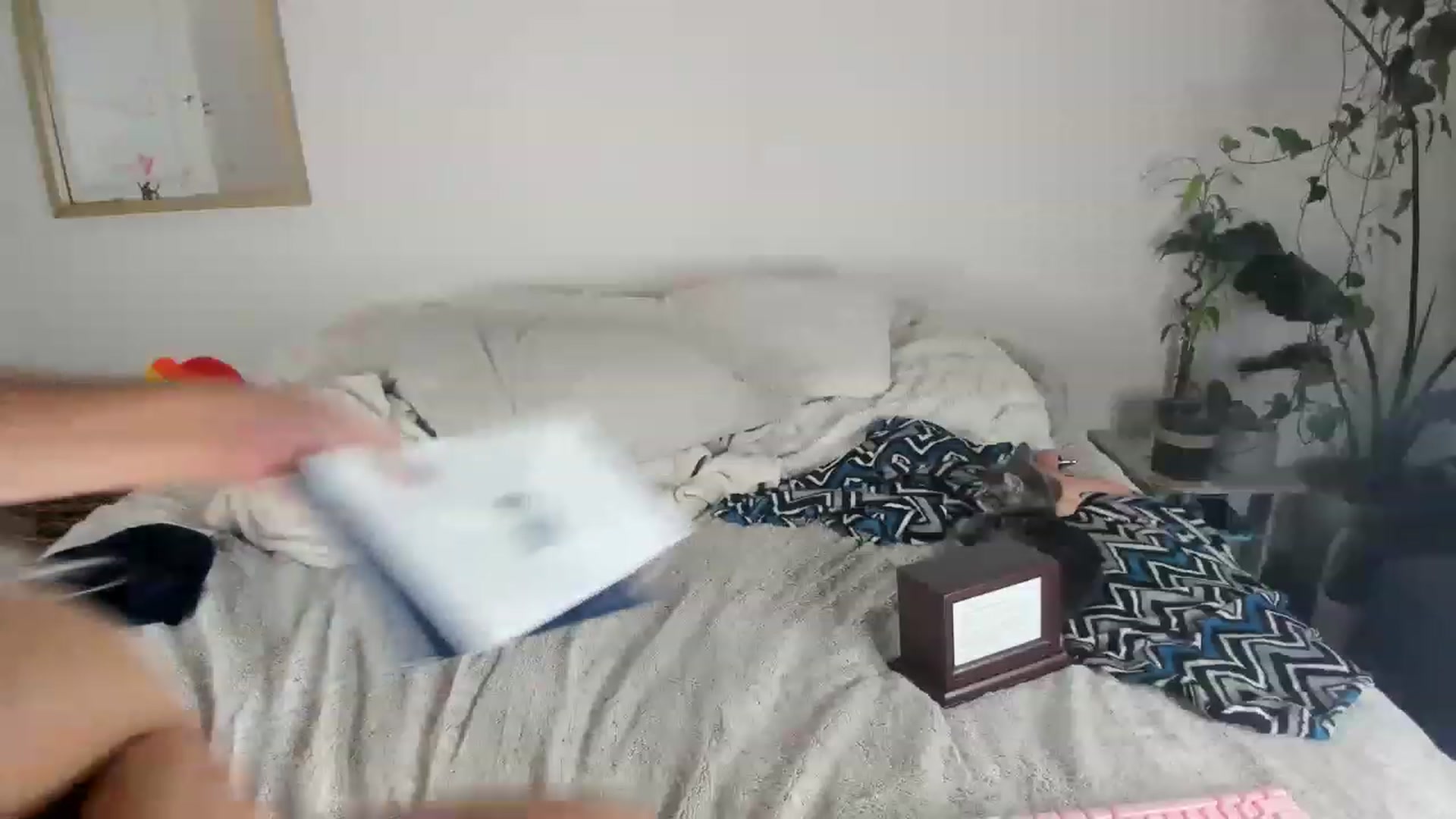 Gallery image thumbnail from CloeClover's myfreecams stream on, 11/18/2022, 04:00 image 14 of 20