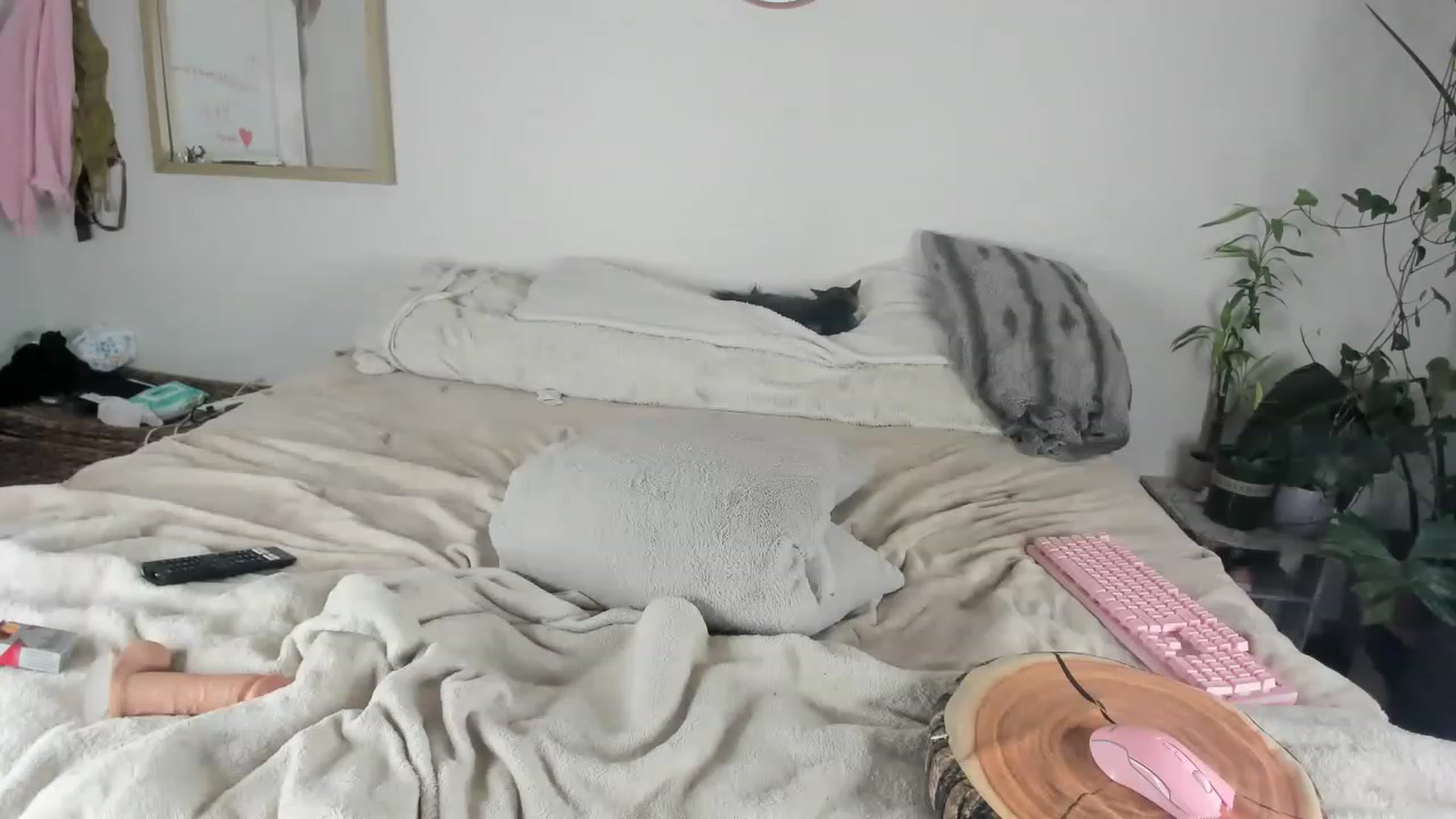 Gallery image thumbnail from CloeClover's myfreecams stream on, 11/21/2022, 02:30 image 20 of 20