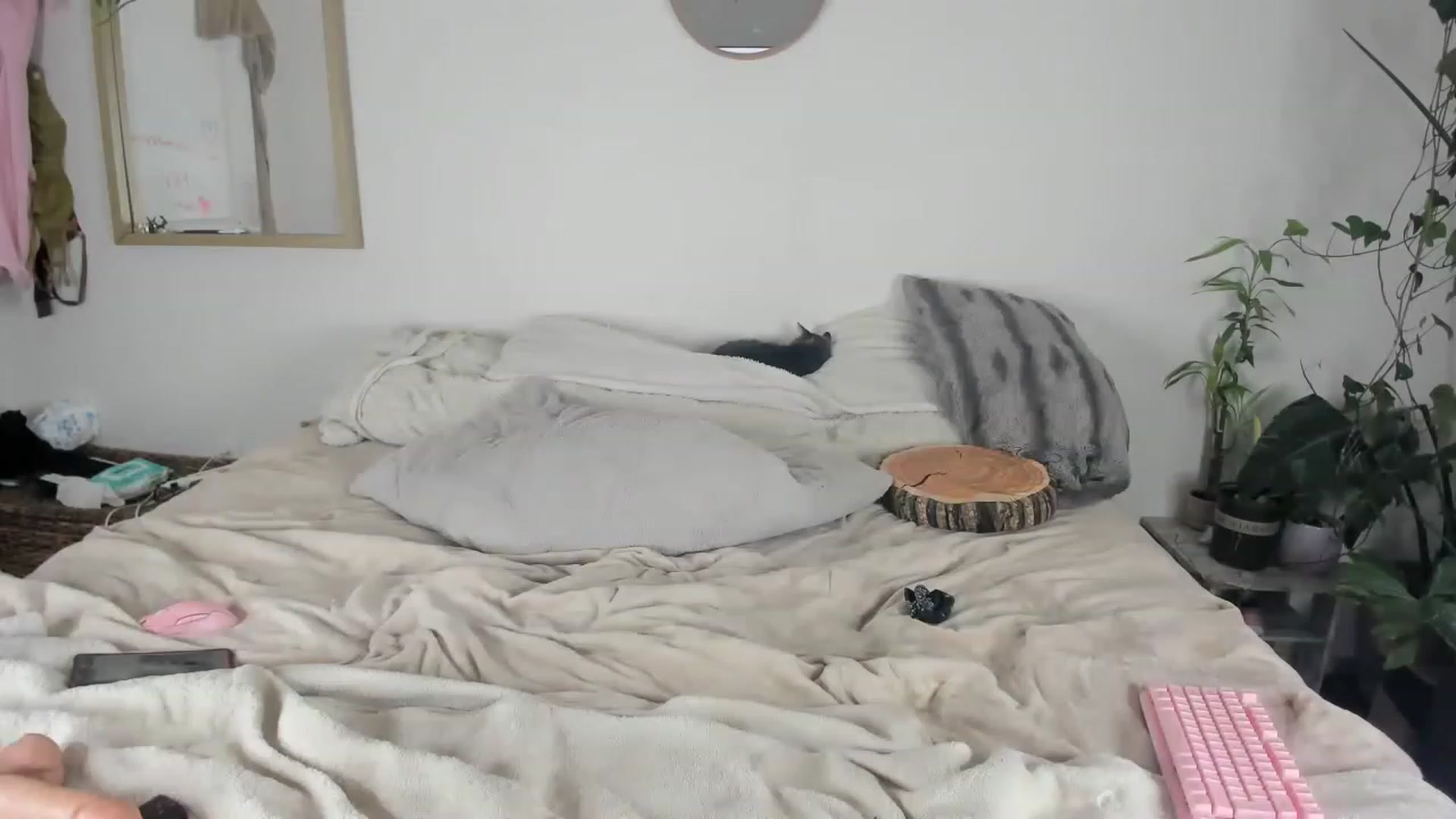 Gallery image thumbnail from CloeClover's myfreecams stream on, 11/21/2022, 02:30 image 12 of 20