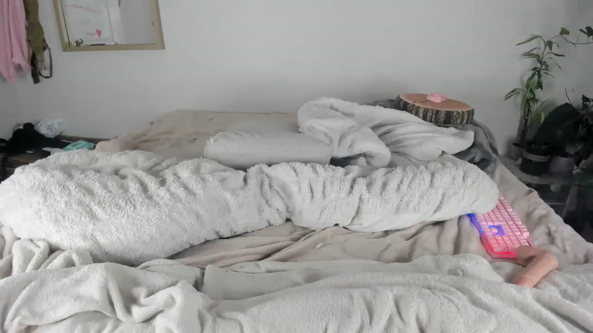 Gallery image thumbnail from CloeClover's myfreecams stream on, 11/21/2022, 04:15 image 6 of 20