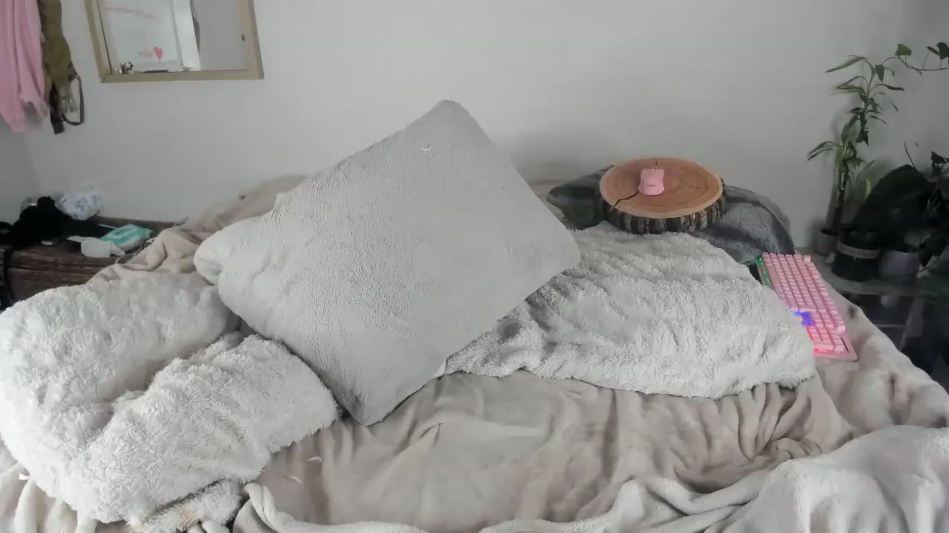 Gallery image thumbnail from CloeClover's myfreecams stream on, 11/21/2022, 04:15 image 14 of 20