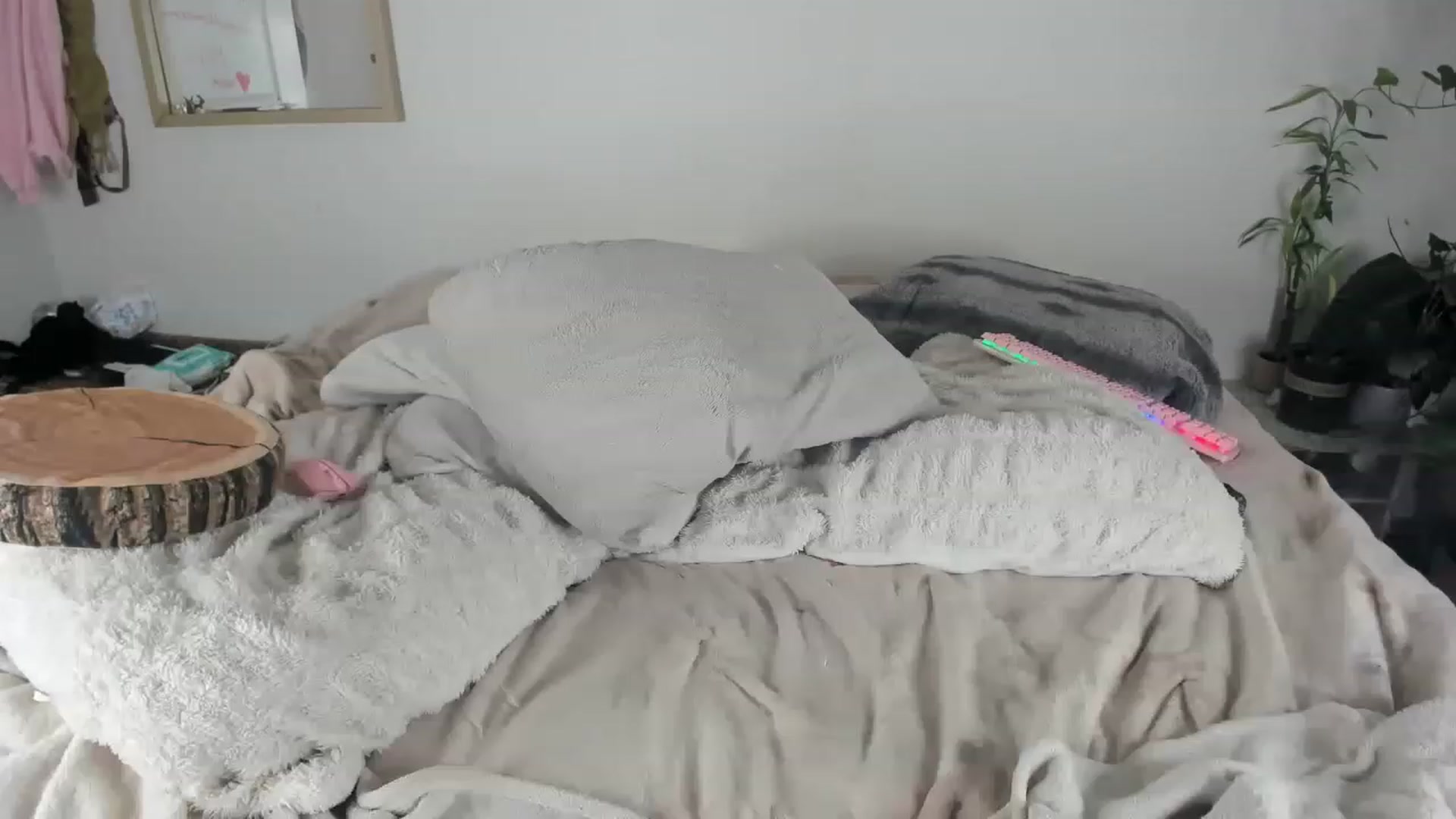 Gallery image thumbnail from CloeClover's myfreecams stream on, 11/21/2022, 04:15 image 16 of 20