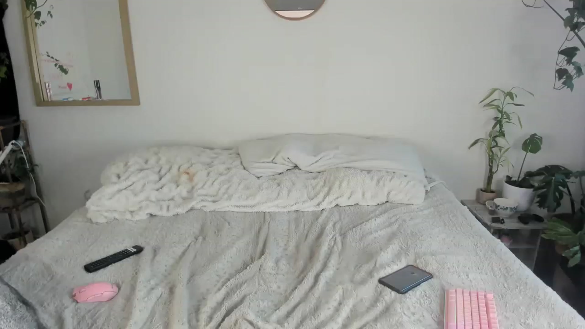 Gallery image thumbnail from CloeClover's myfreecams stream on, 11/25/2022, 23:01 image 19 of 20