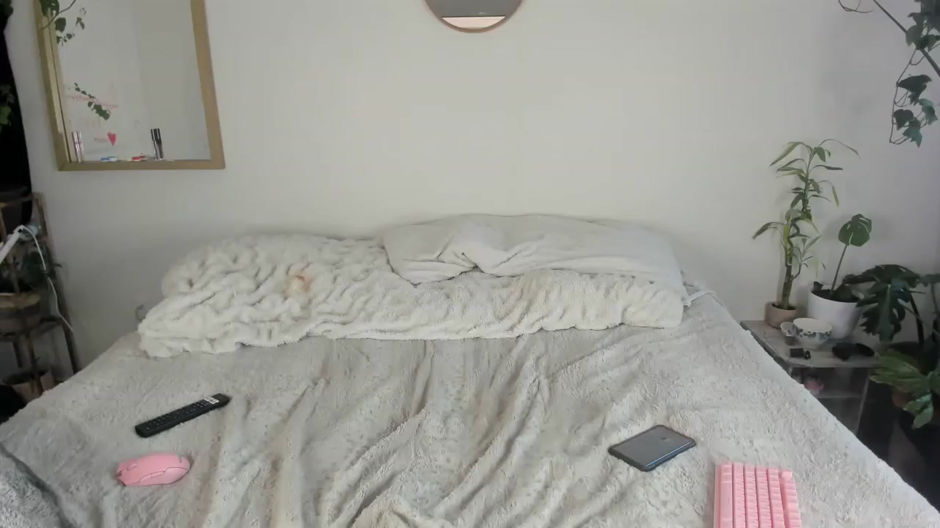 Gallery image thumbnail from CloeClover's myfreecams stream on, 11/25/2022, 23:01 image 20 of 20