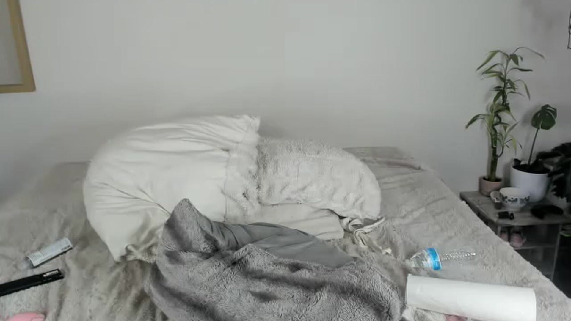 Gallery image thumbnail from CloeClover's myfreecams stream on, 11/26/2022, 05:24 image 10 of 20