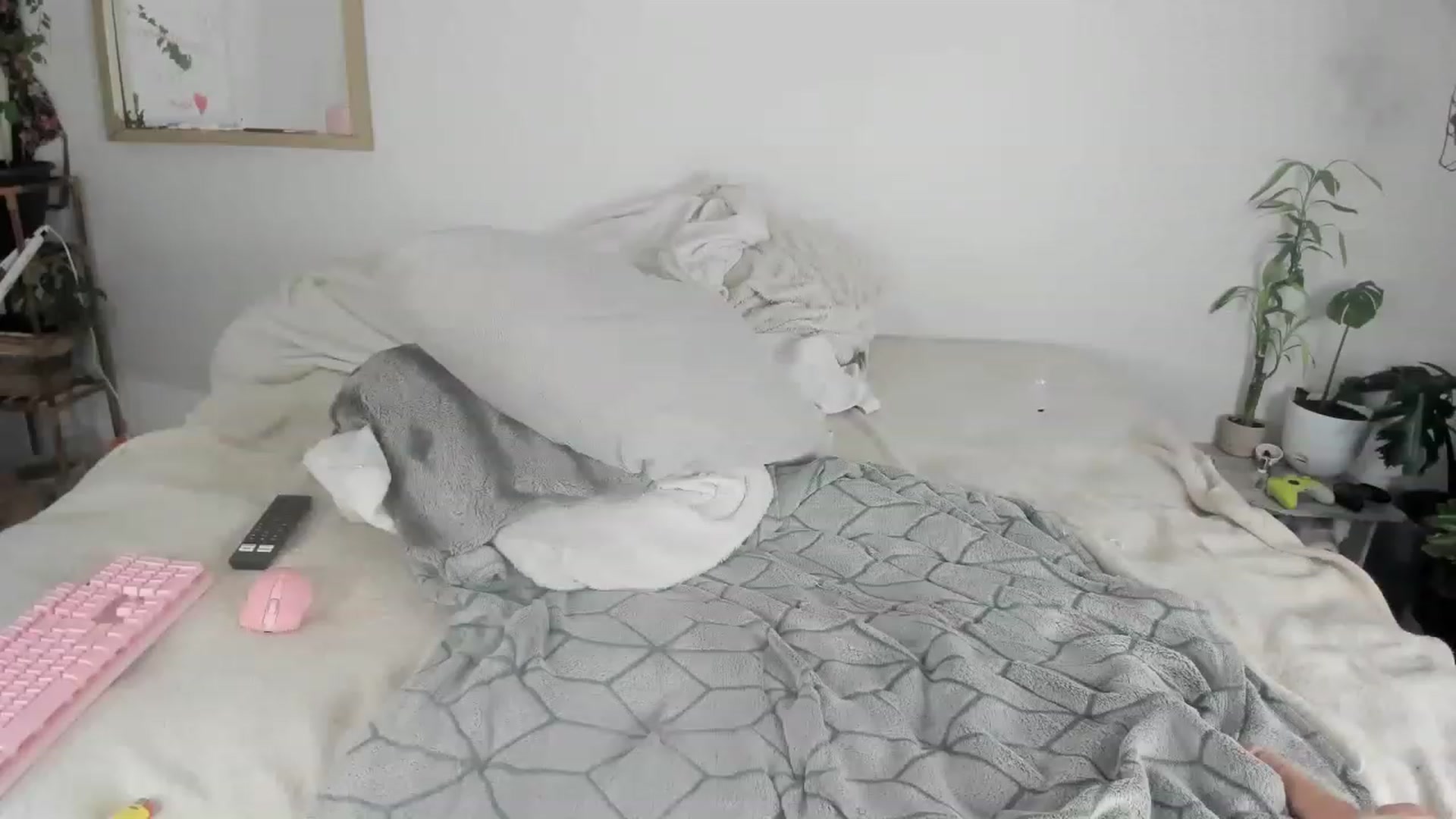 Gallery image thumbnail from CloeClover's myfreecams stream on, 11/29/2022, 02:19 image 15 of 20