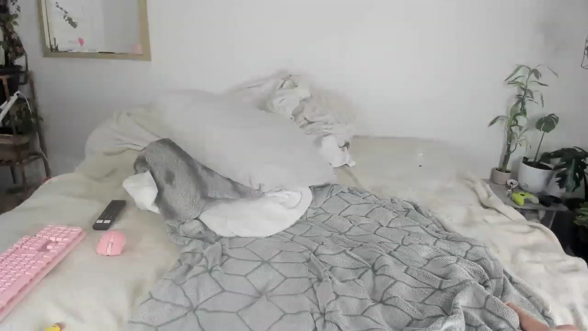 Gallery image thumbnail from CloeClover's myfreecams stream on, 11/29/2022, 02:19 image 16 of 20