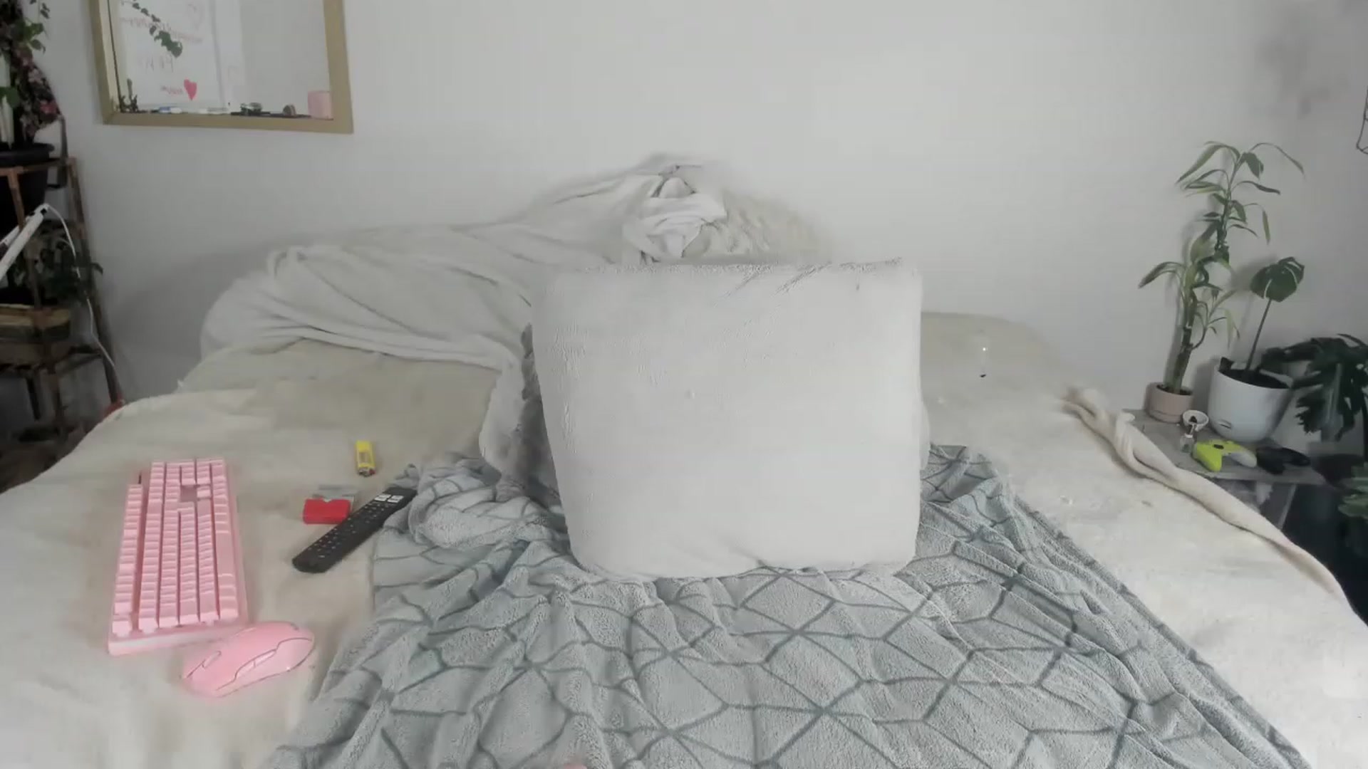 Gallery image thumbnail from CloeClover's myfreecams stream on, 11/29/2022, 02:19 image 1 of 20