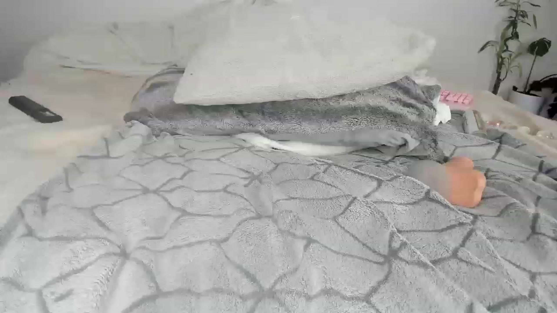 Gallery image thumbnail from CloeClover's myfreecams stream on, 11/29/2022, 03:30 image 19 of 20