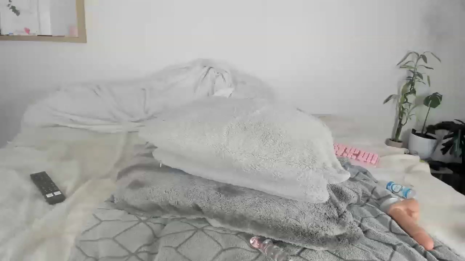Gallery image thumbnail from CloeClover's myfreecams stream on, 11/29/2022, 03:30 image 6 of 20