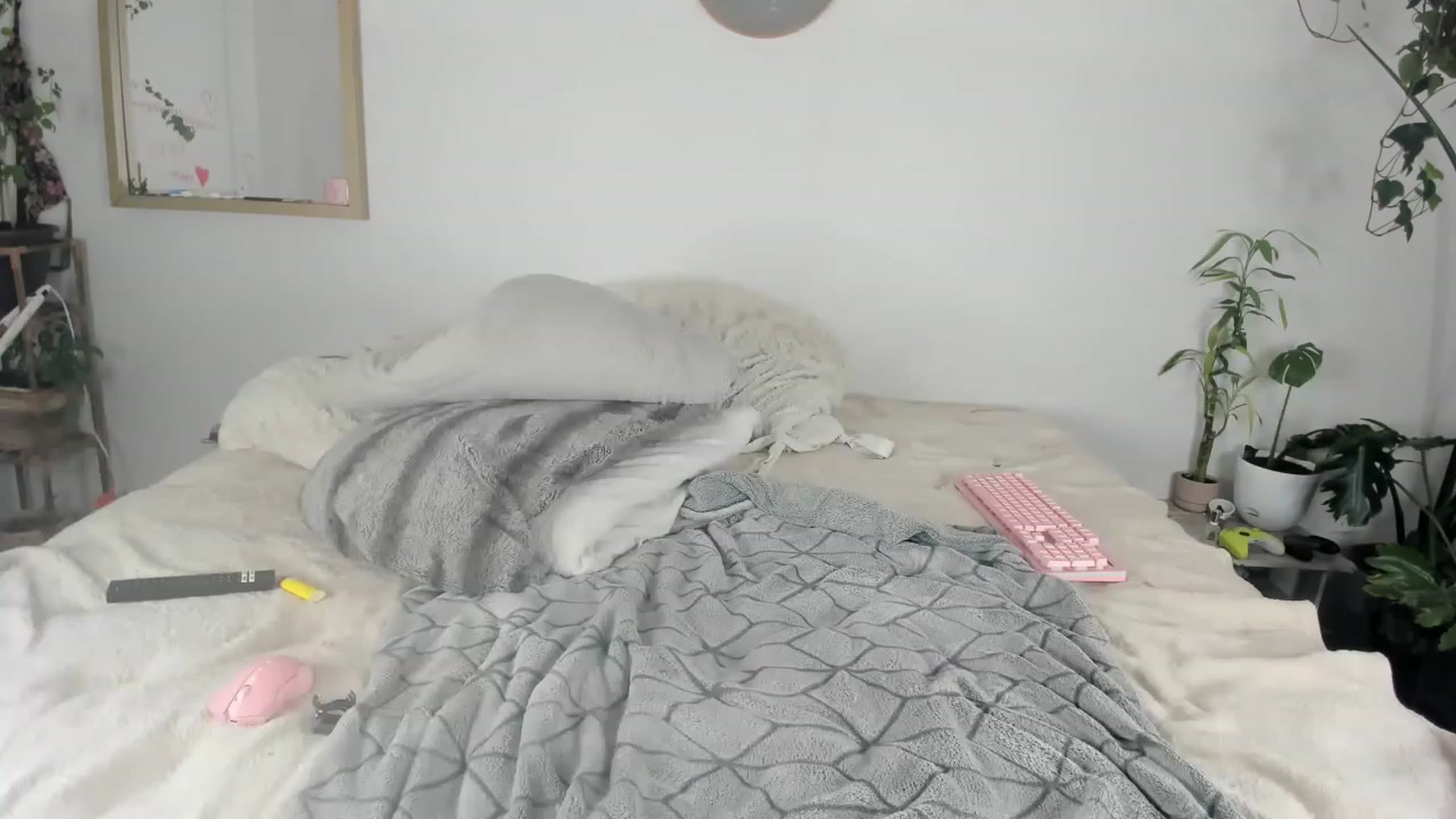 Gallery image thumbnail from CloeClover's myfreecams stream on, 11/29/2022, 05:59 image 9 of 20