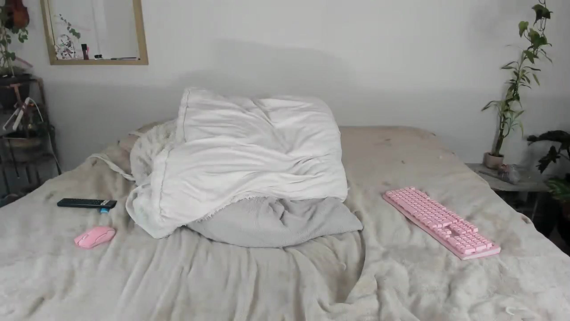 Gallery image thumbnail from CloeClover's myfreecams stream on, 12/26/2022, 05:09 image 17 of 20