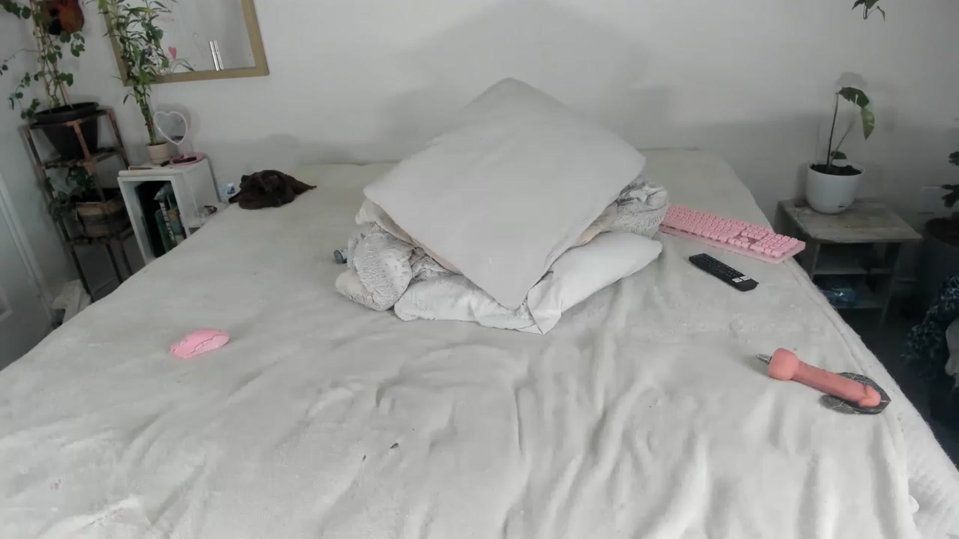 Gallery image thumbnail from CloeClover's myfreecams stream on, 12/30/2022, 09:37 image 14 of 20