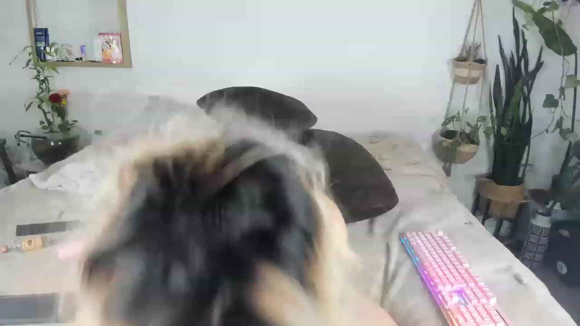 Gallery image thumbnail from CloeClover's myfreecams stream on, 01/30/2023, 12:39 image 15 of 20