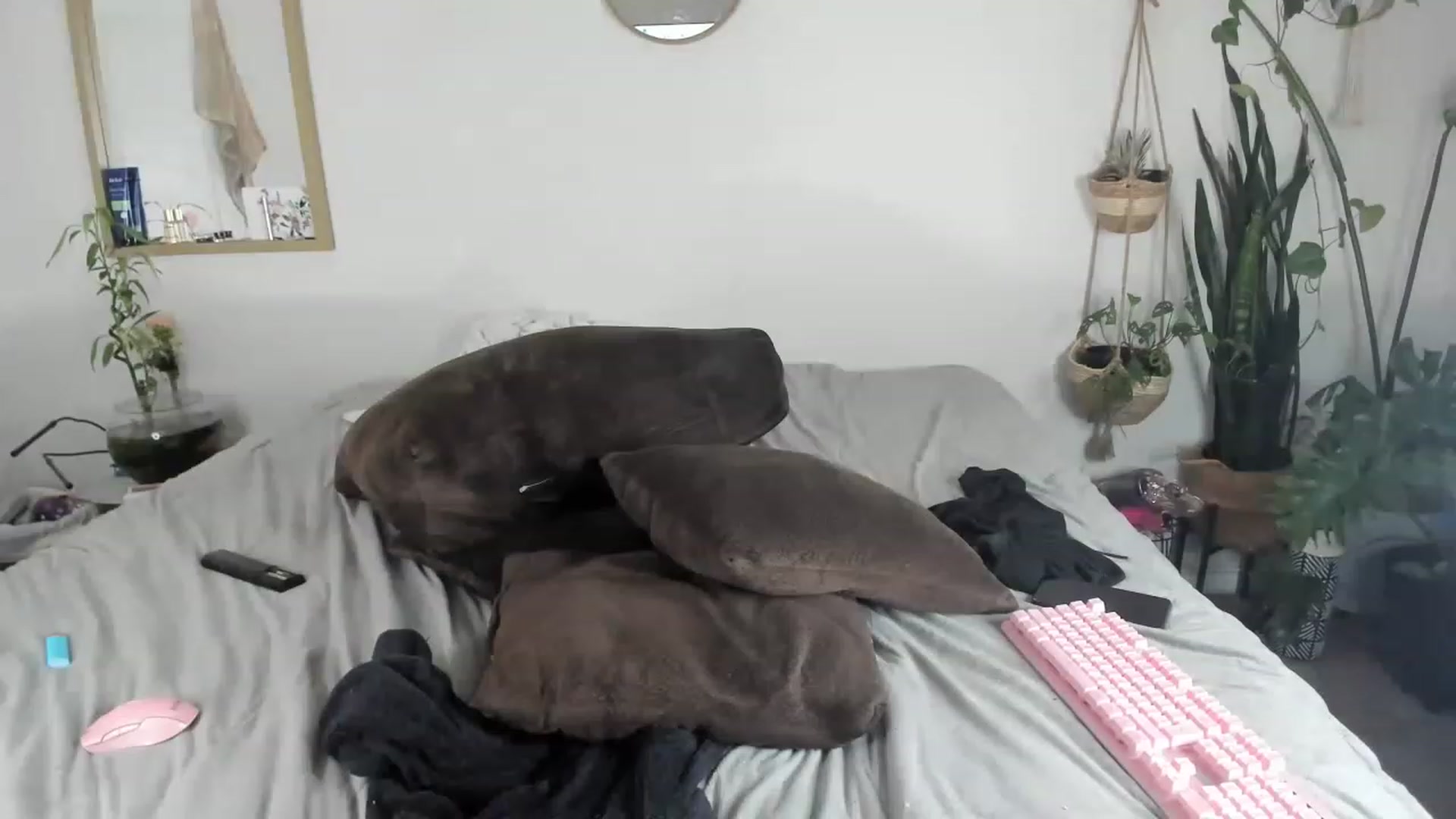 Gallery image thumbnail from CloeClover's myfreecams stream on, 02/05/2023, 12:21 image 20 of 20