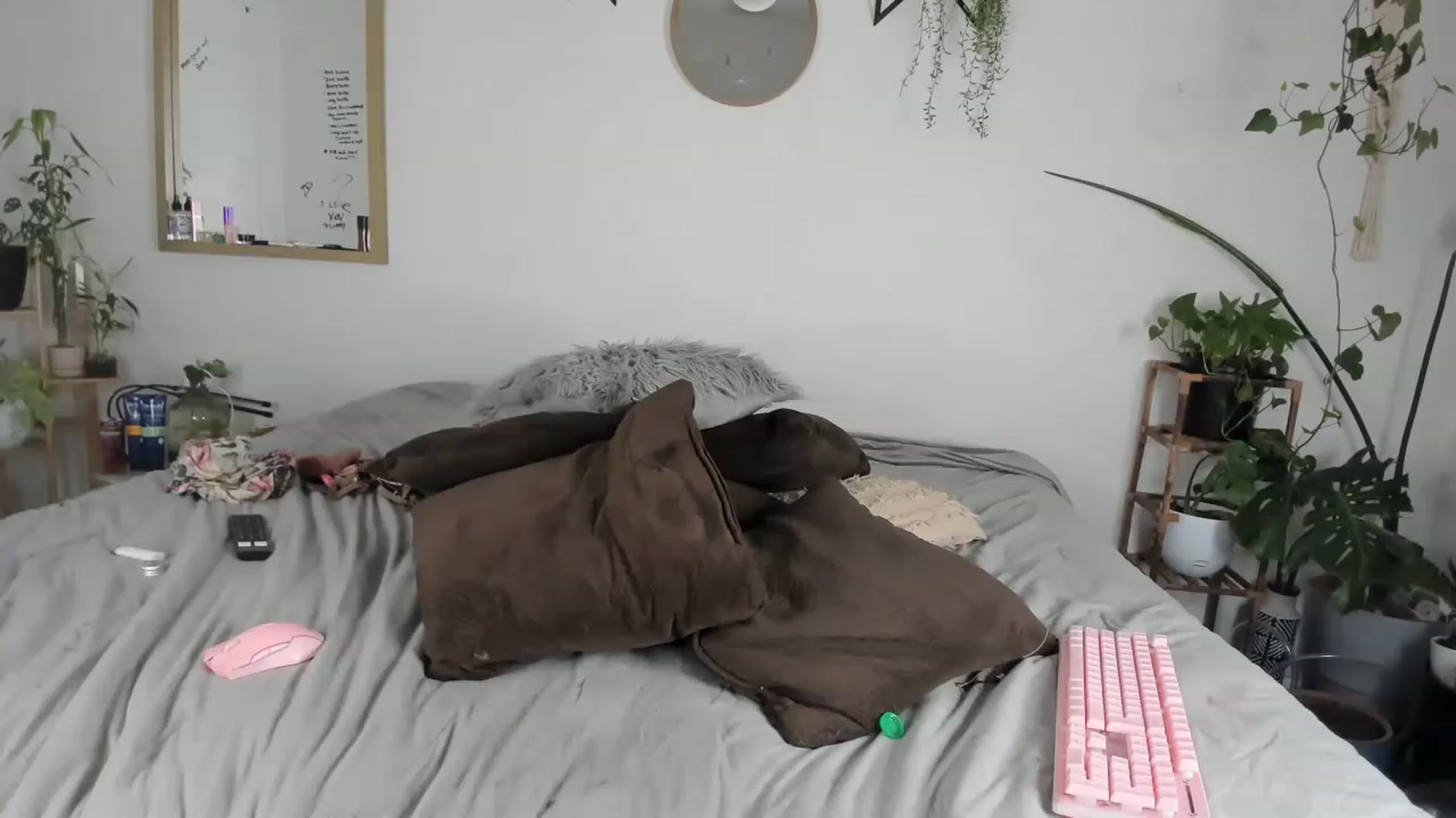 Gallery image thumbnail from CloeClover's myfreecams stream on, 02/20/2023, 12:33 image 15 of 20