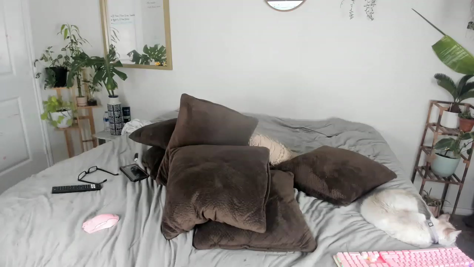 Gallery image thumbnail from CloeClover's myfreecams stream on, 02/26/2023, 09:05 image 16 of 20