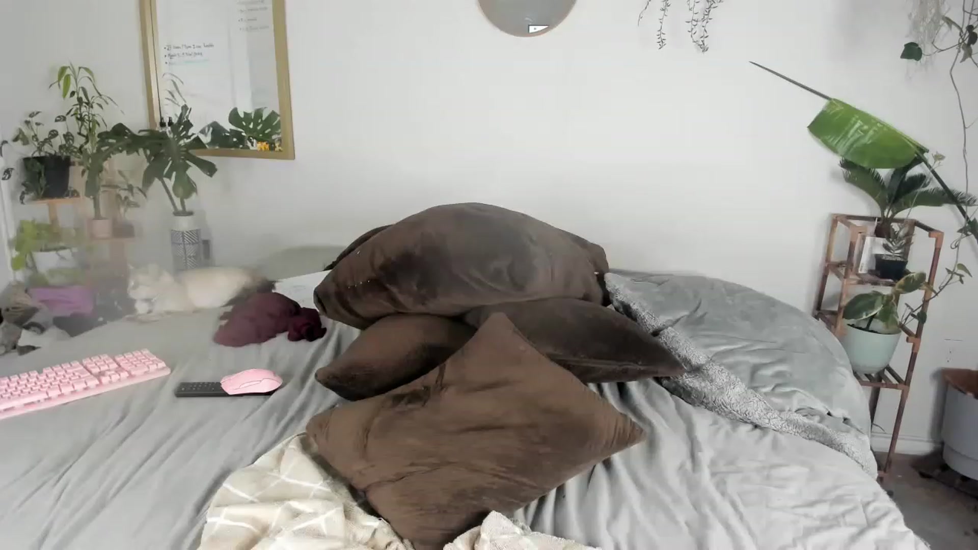 Gallery image thumbnail from CloeClover's myfreecams stream on, 03/01/2023, 10:34 image 5 of 20