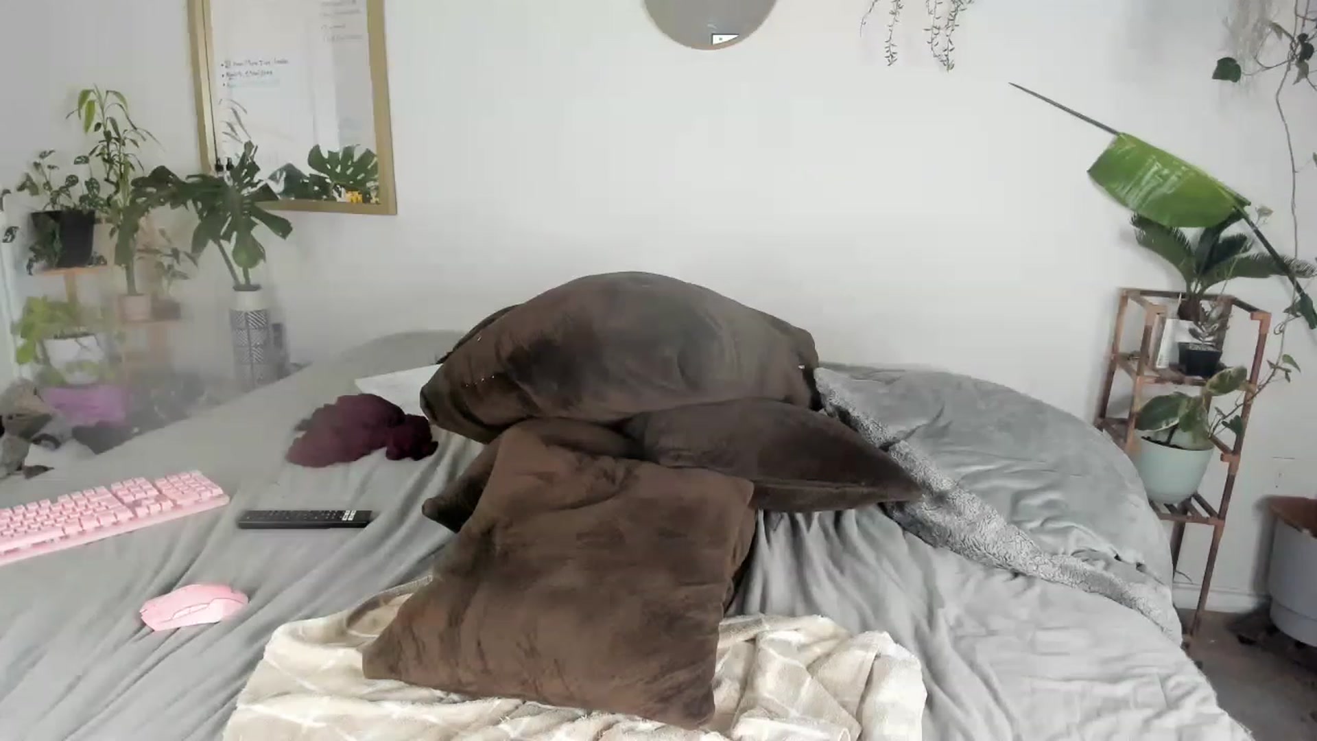 Gallery image thumbnail from CloeClover's myfreecams stream on, 03/01/2023, 10:34 image 6 of 20