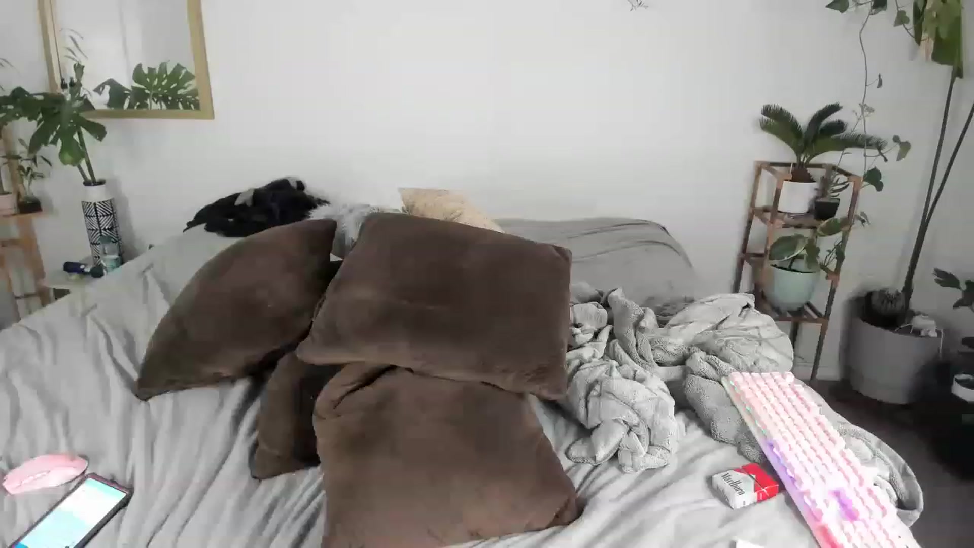 Gallery image thumbnail from CloeClover's myfreecams stream on, 03/04/2023, 09:18 image 17 of 20