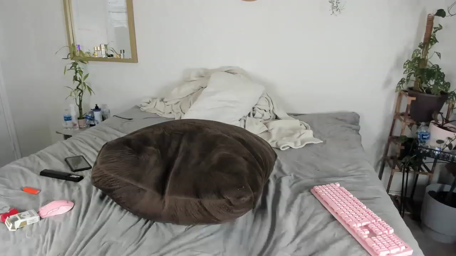 Gallery image thumbnail from CloeClover's myfreecams stream on, 03/21/2023, 10:14 image 19 of 20