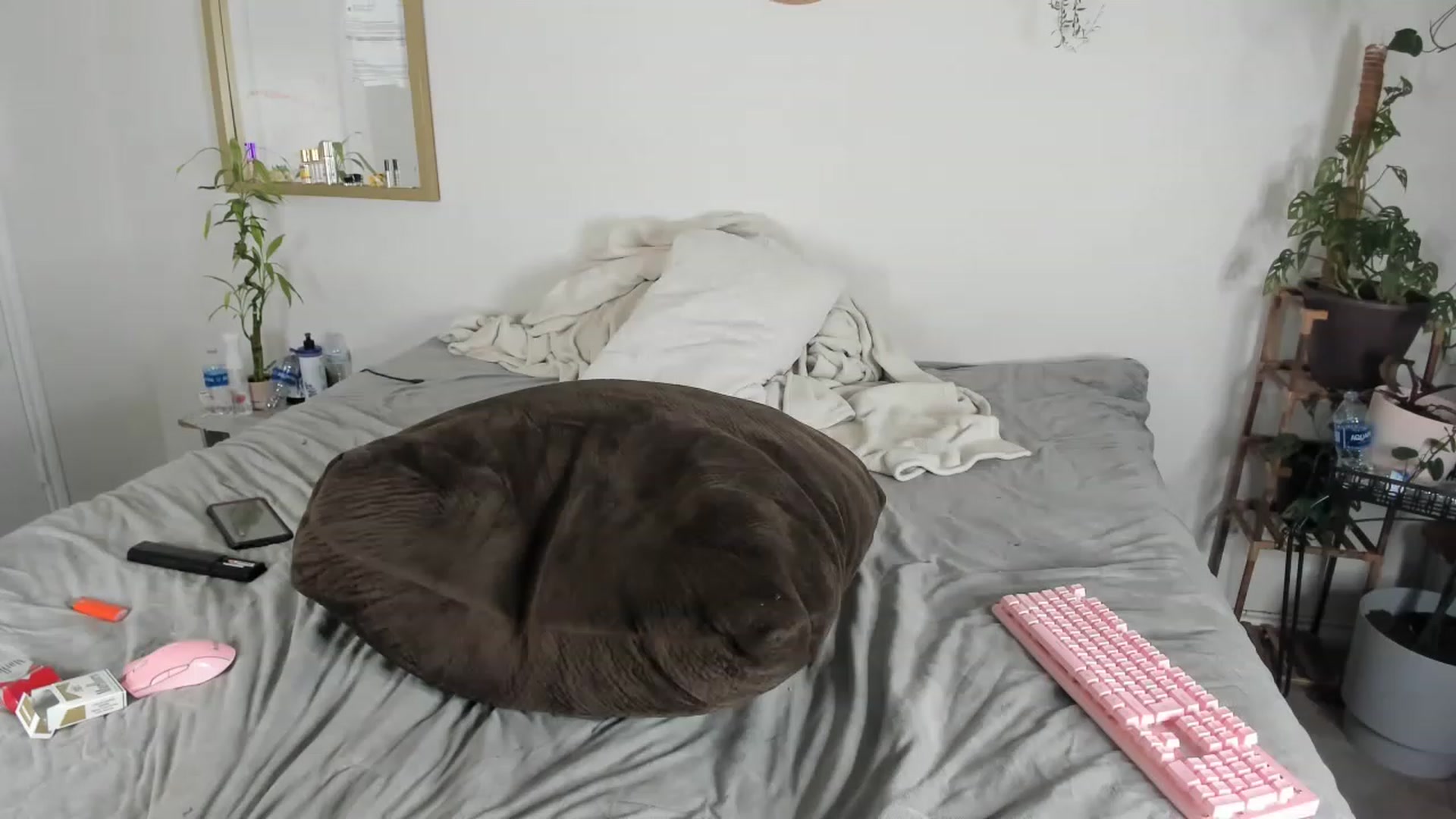 Gallery image thumbnail from CloeClover's myfreecams stream on, 03/21/2023, 10:14 image 20 of 20