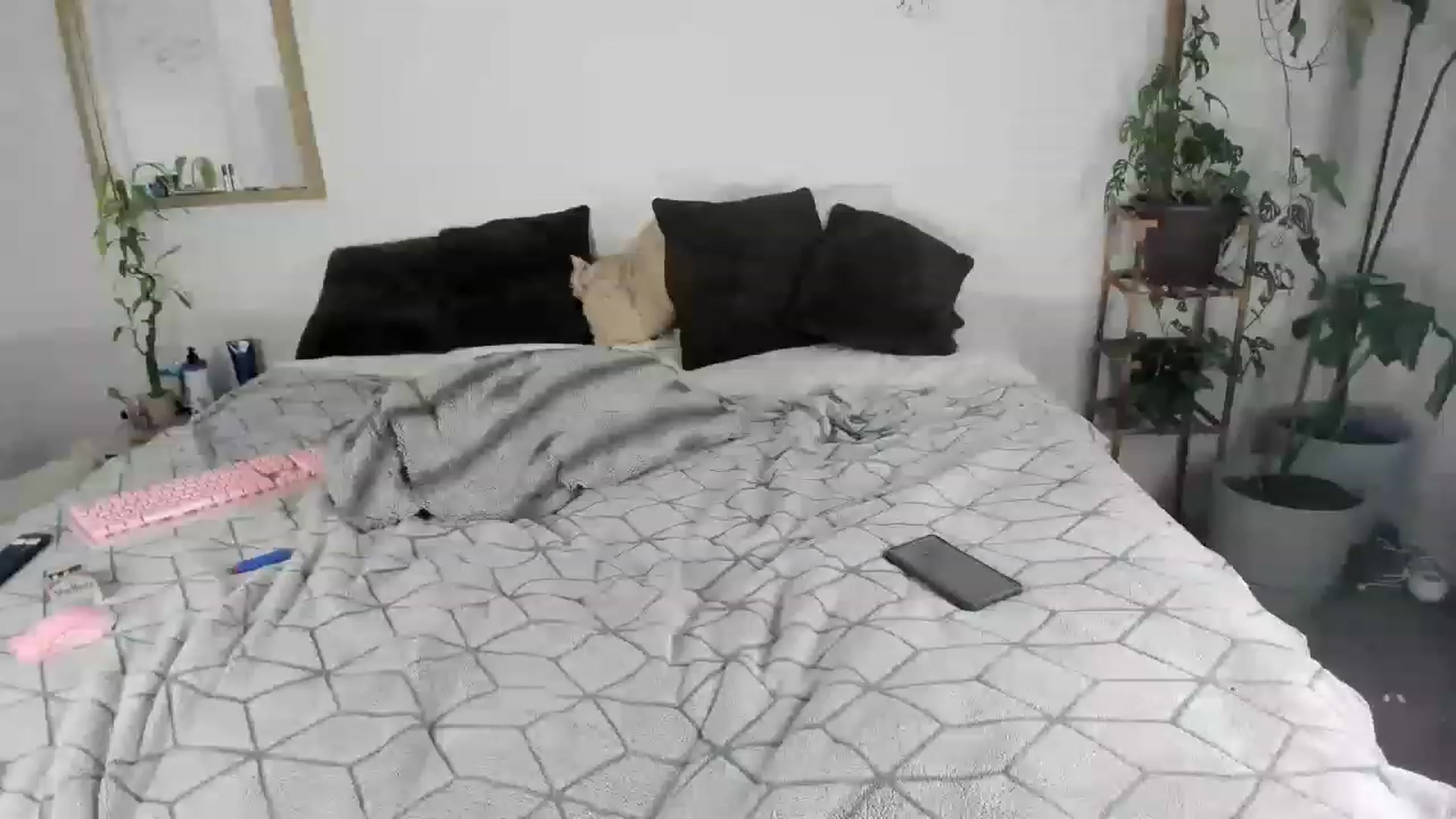 Gallery image thumbnail from CloeClover's myfreecams stream on, 04/03/2023, 07:31 image 2 of 20