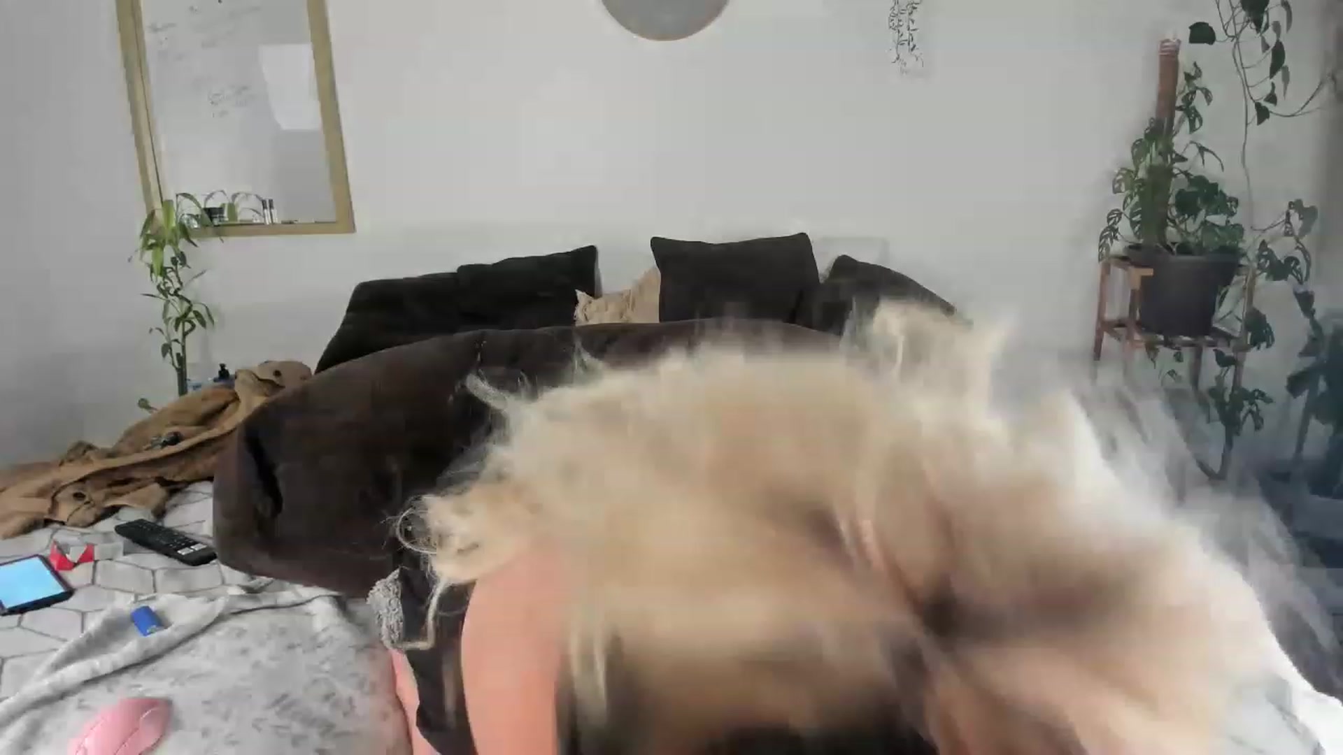 Gallery image thumbnail from CloeClover's myfreecams stream on, 04/03/2023, 10:25 image 15 of 20