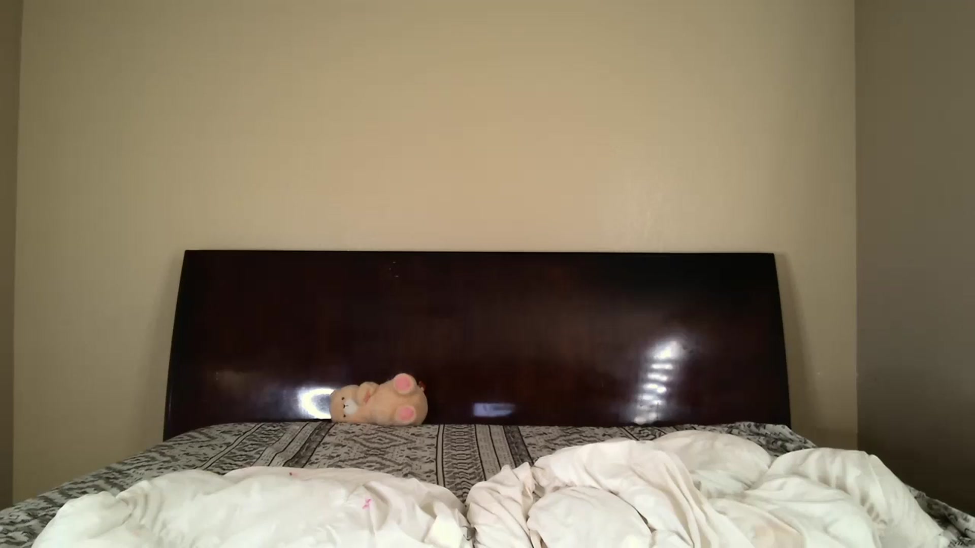 Gallery image thumbnail from CloeClover's myfreecams stream on, 03/22/2025, 11:39 image 15 of 20