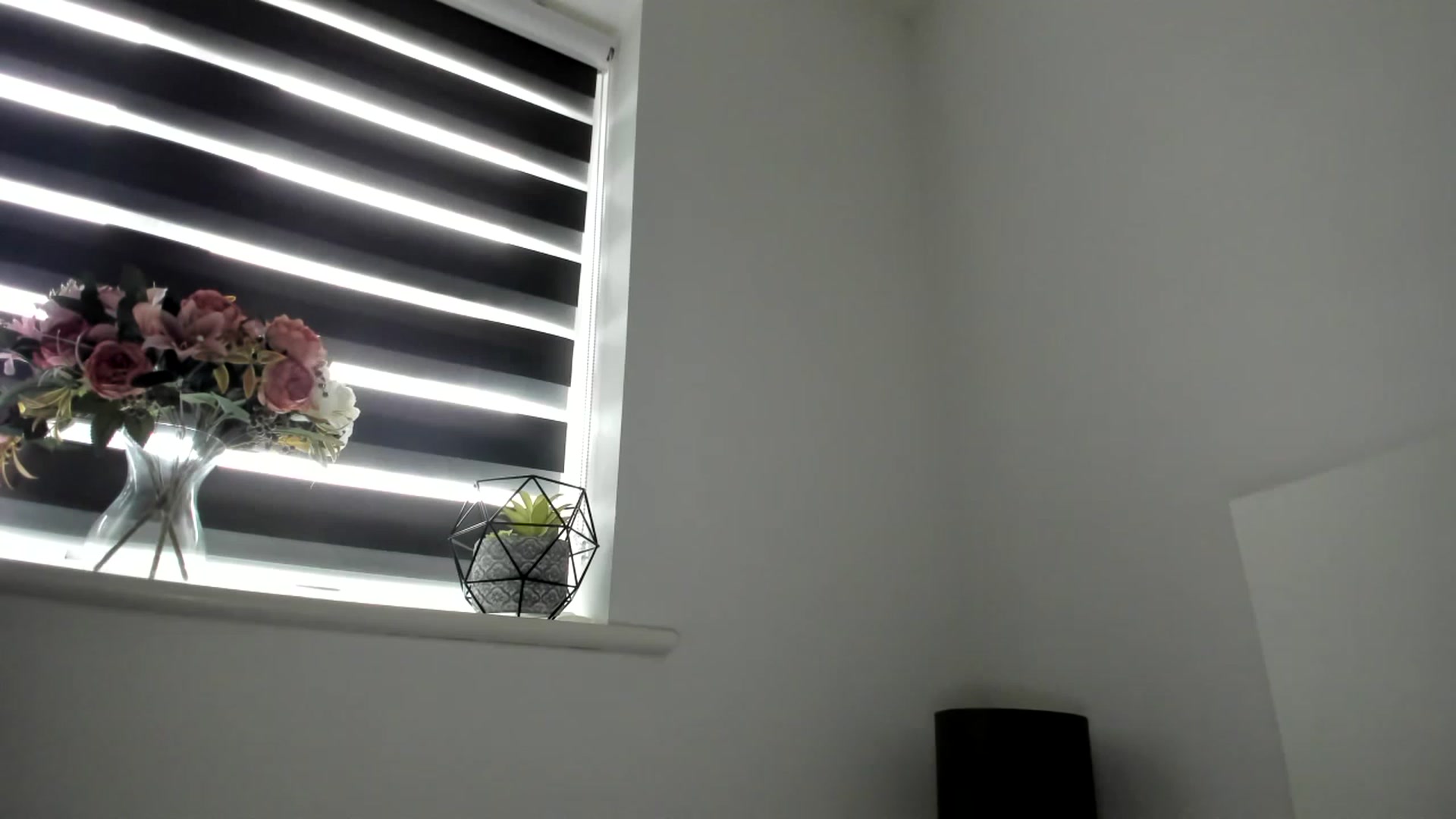 Gallery image thumbnail from CloverWinfred's myfreecams stream on, 01/25/2023, 13:12 image 16 of 20