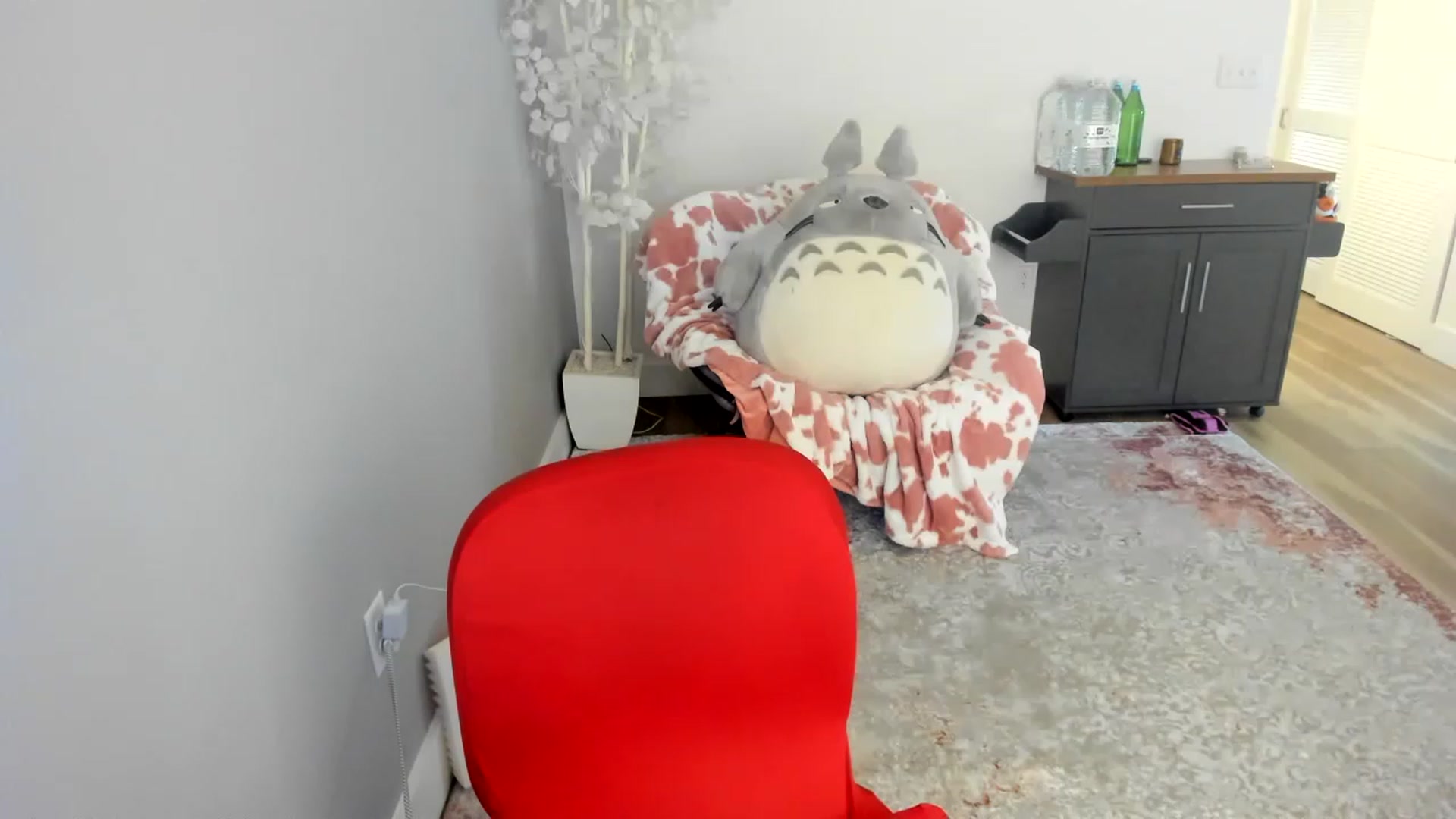 Gallery image thumbnail from CockMilkDomme's myfreecams stream on, 12/29/2022, 09:43 image 6 of 20