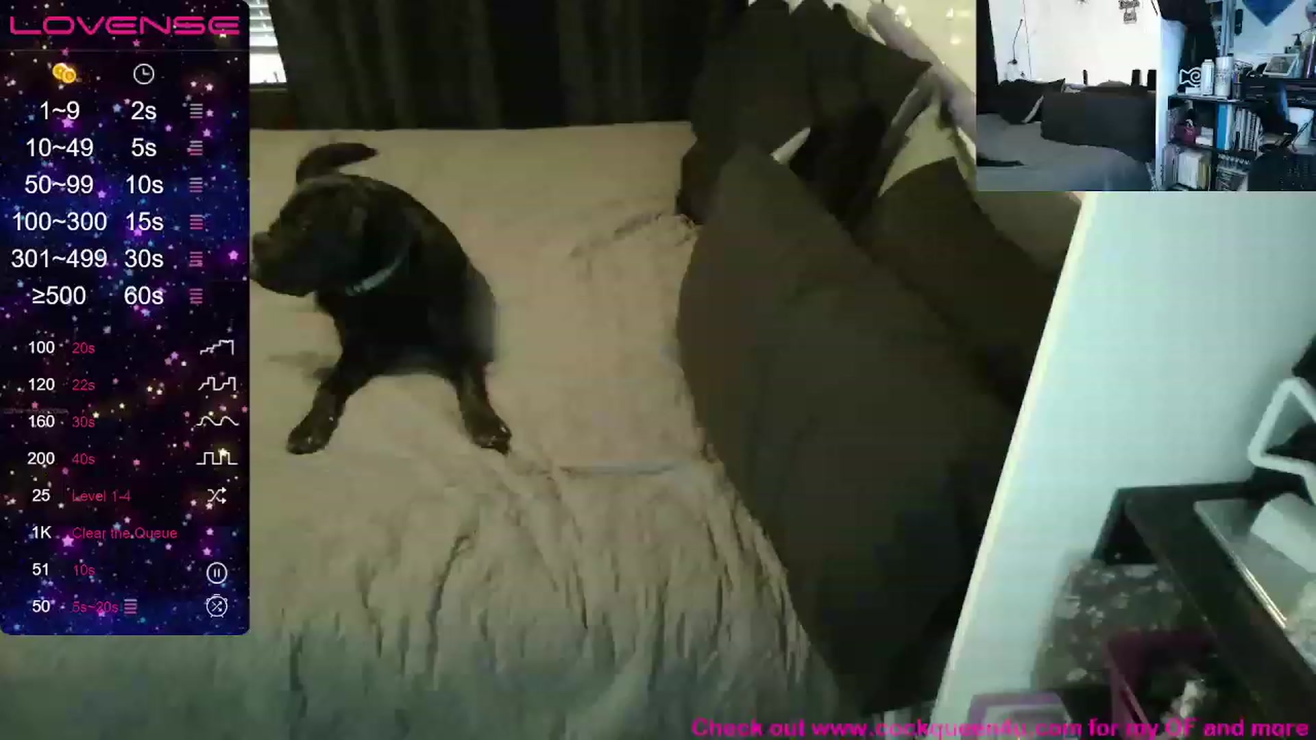 Gallery image thumbnail from Cockqueen4u's myfreecams stream on, 12/06/2022, 18:26 image 2 of 20