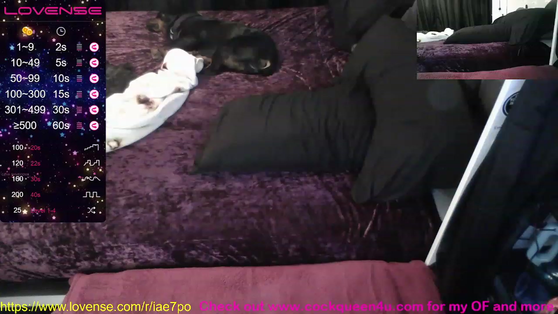 Gallery image thumbnail from Cockqueen4u's myfreecams stream on, 01/16/2023, 11:18 image 16 of 20