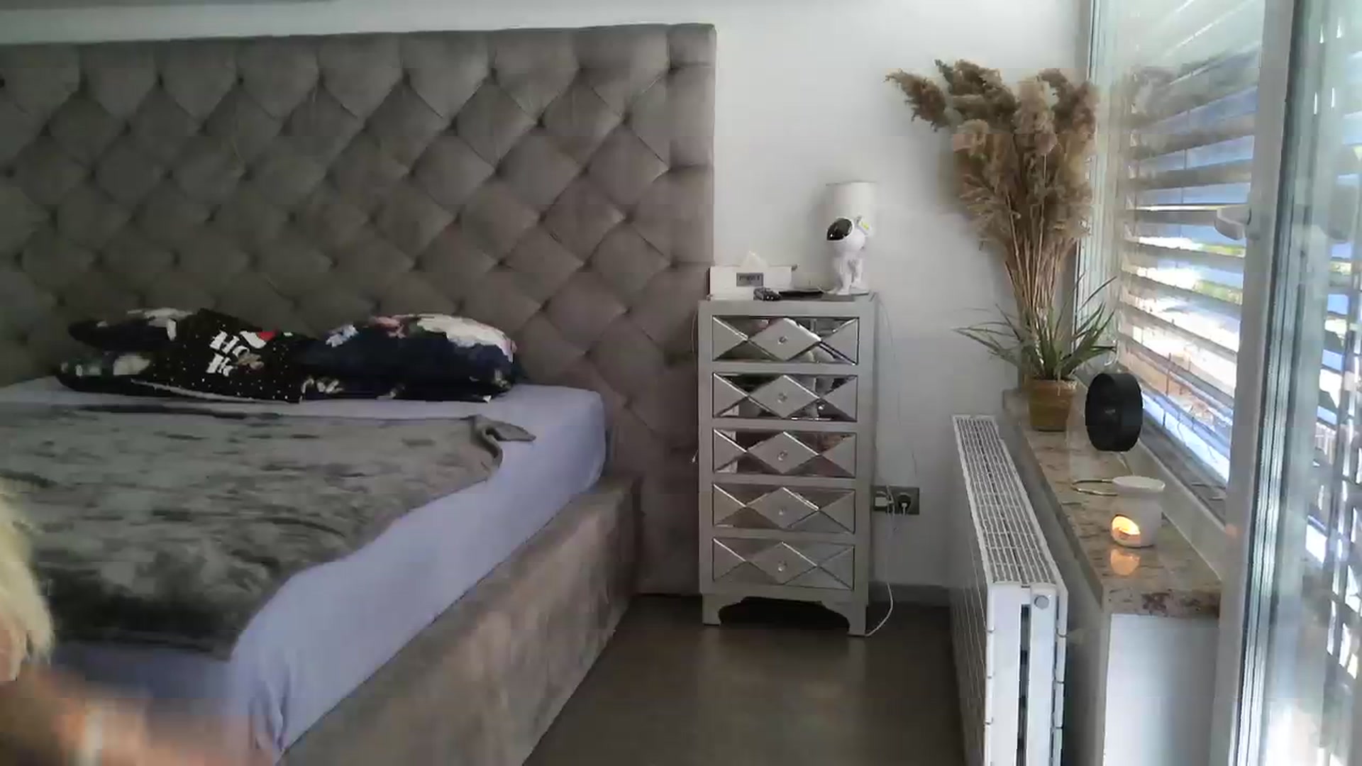 Gallery image thumbnail from CocoMia's myfreecams stream on, 12/18/2023, 13:48 image 8 of 20