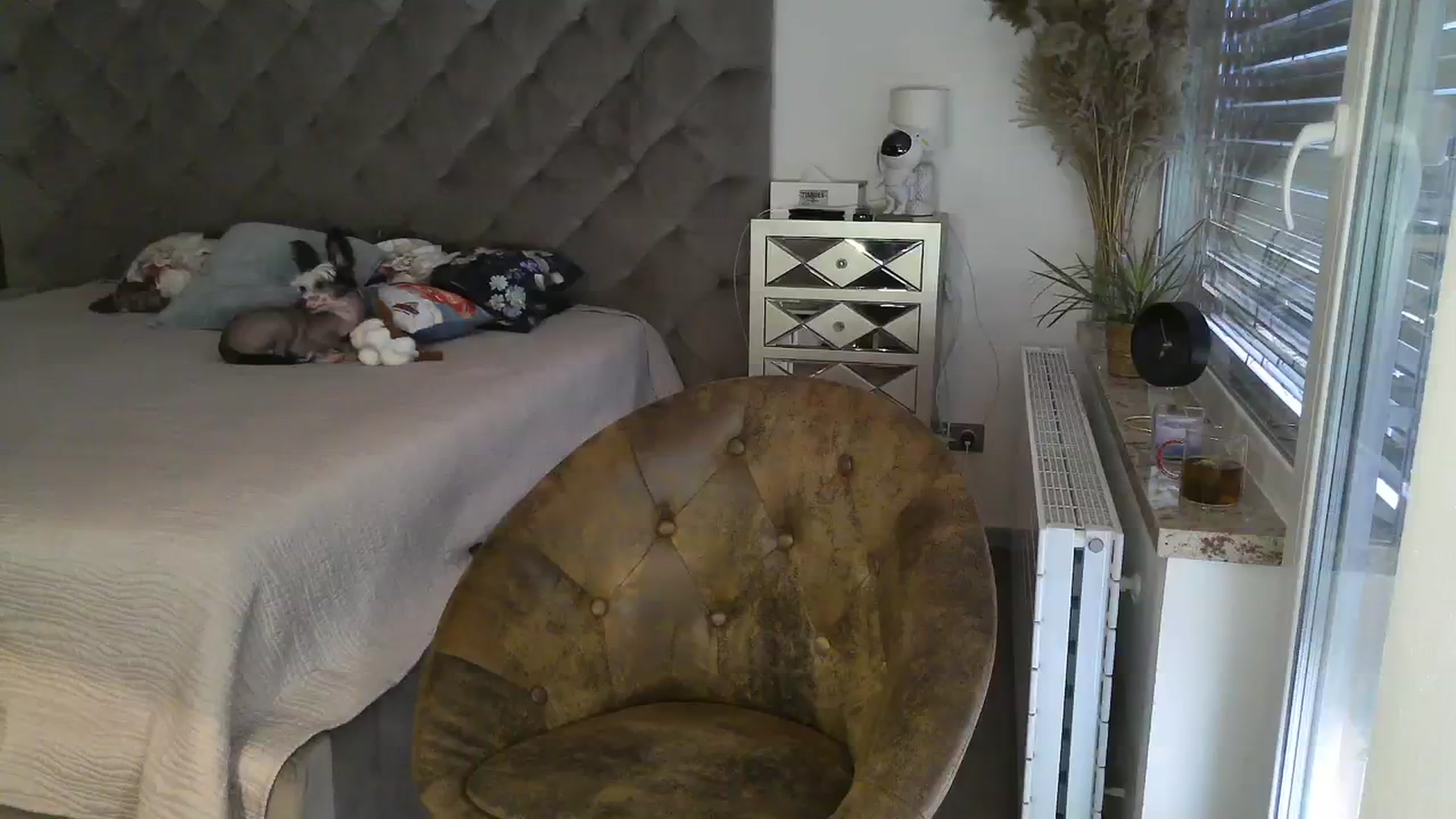 Gallery image thumbnail from CocoMia's myfreecams stream on, 01/16/2024, 12:53 image 2 of 20