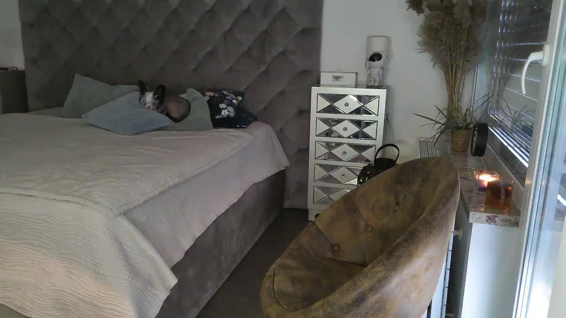 Gallery image thumbnail from CocoMia's myfreecams stream on, 01/25/2024, 12:55 image 14 of 20