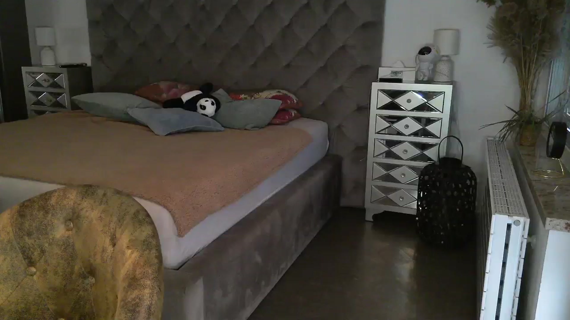 Gallery image thumbnail from CocoMia's myfreecams stream on, 02/13/2024, 13:42 image 15 of 20